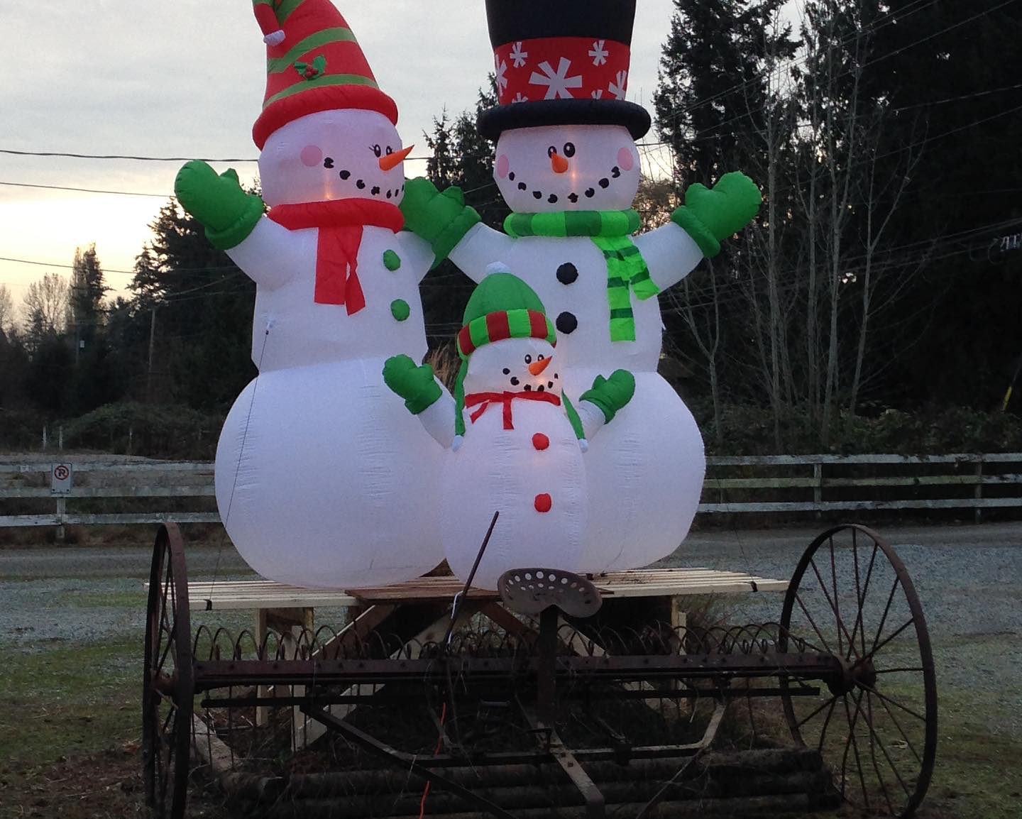 We’re opening the Farm this weekend!
Starting Saturday, November 26 we’ll be open 9-6 daily. Don’t leave it too late; last year we had to close the Farm super early after about 10 days, to save inventory for the next year.
Also, hot chocolate and apple cider available this year again!
https://www.fernridgechristmastreeforest.ca/