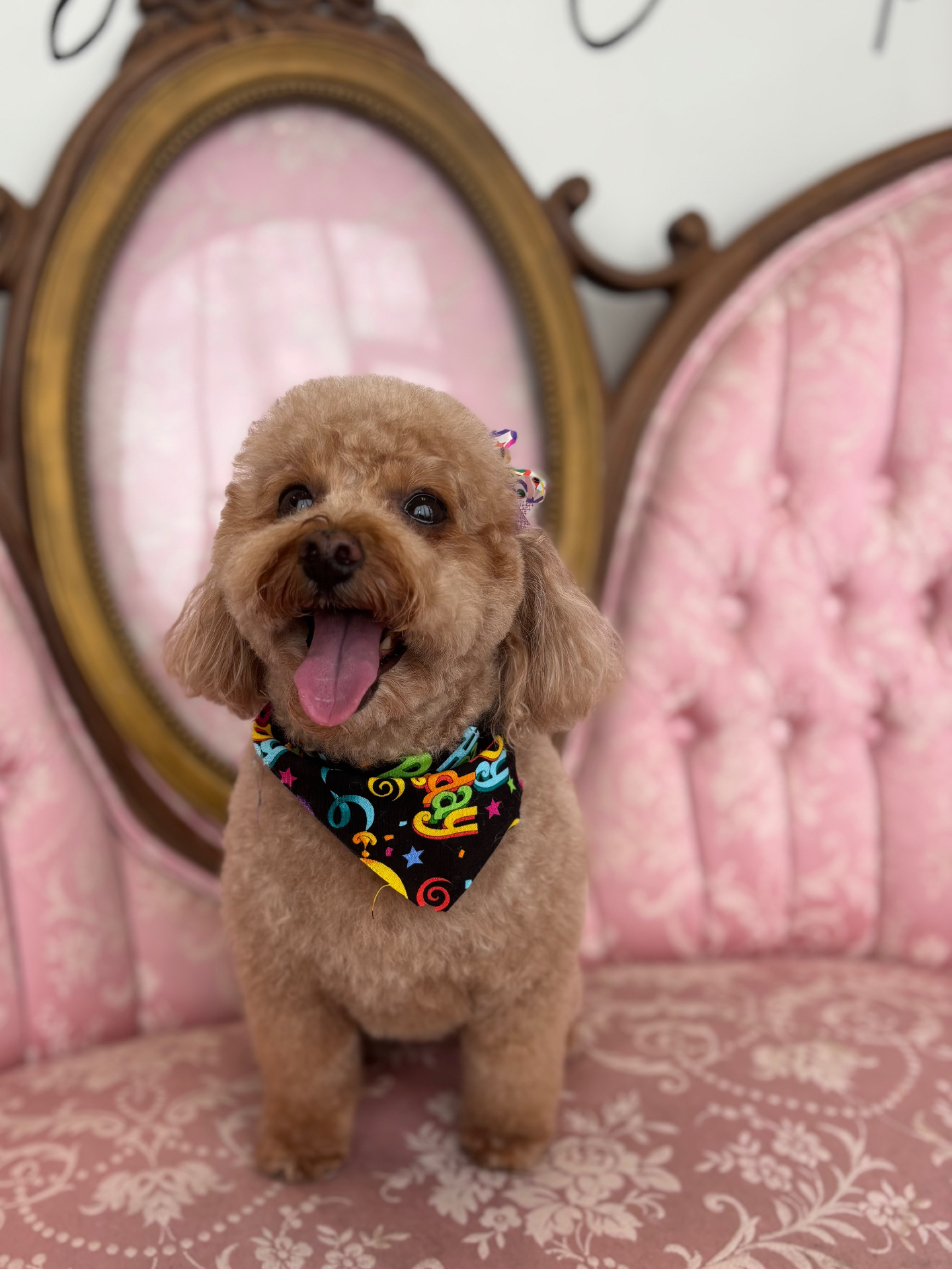 June had herself a little birthday photoshoot 🤭🎉🎂