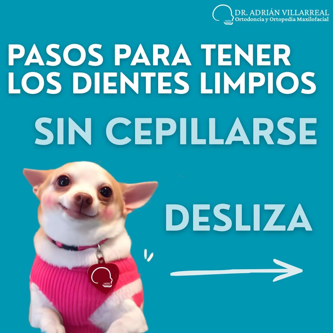 Les cuento un secretito de ortodoncista🦷✅
.
.
.
.
#ortodonciamty #dentistamty #dentista #ortodoncia