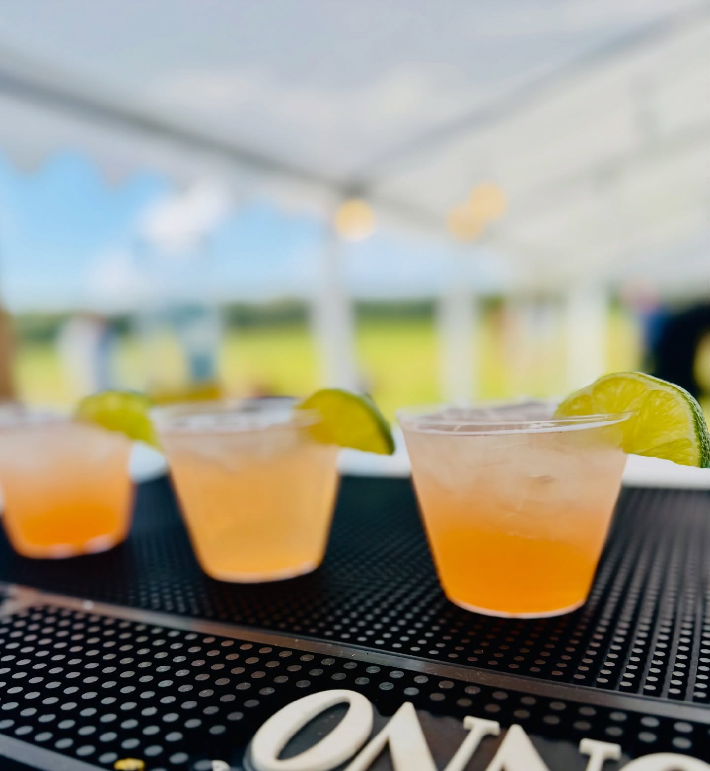 #AAAMobileBartending #cocktails #albertaweddings #weddingbartenders #albertaweddingvendor 🍹🍹🍹