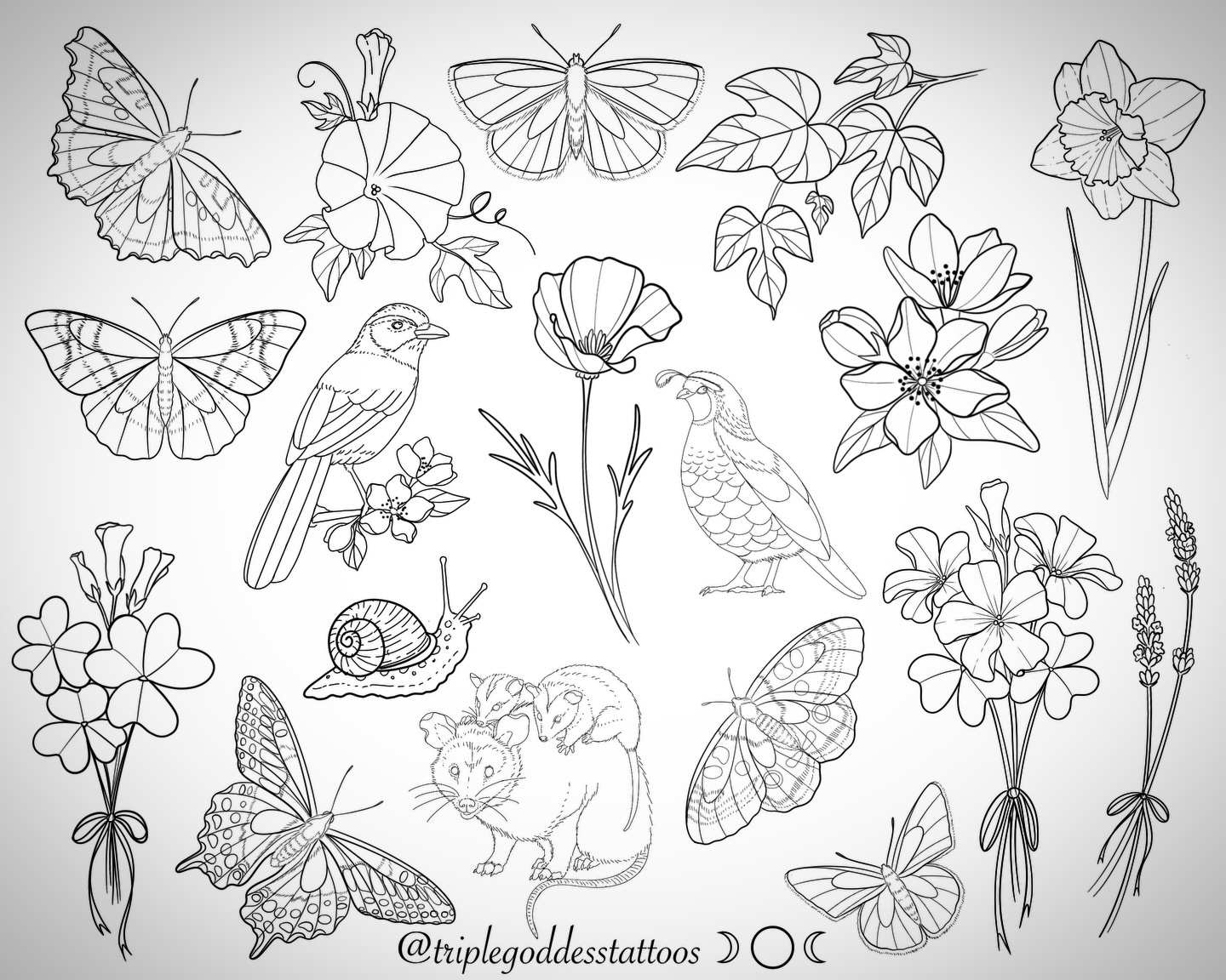 It’s Friday the 13th time again! This Friday from 10 am-7 pm @papercranestudio I will be offering this flash, alongside my past Friday the 13th flash, for $80 a piece, on arms and legs. Walk-ins only, but we will give return appt times when our line gets long :)
-
Thank you for all your support of my art and our shop always.
-
#triplegoddesstattoos #fridaythe13thtattoo #fridaythe13th #botanicaltattoos #papercranestudio