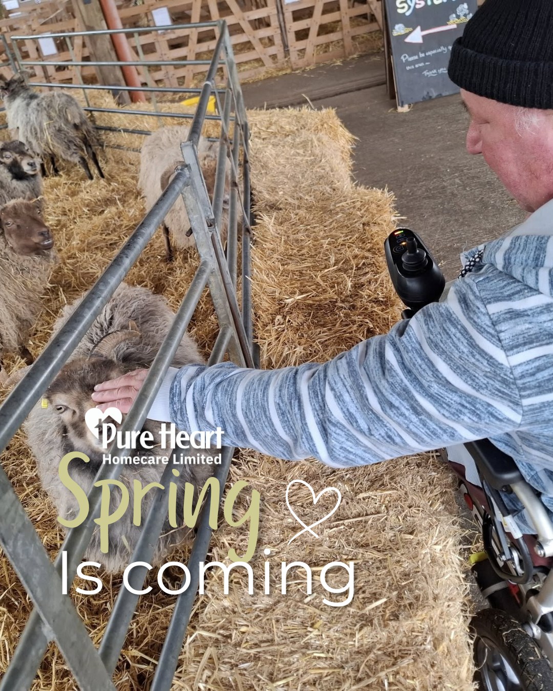 Spring is coming! 💗
With our companionship service we are able to take our service users out for the day, whether it's to the farm or on a nice spring walk ⛅ 🐰
Visit purehearthomecare.co.uk for more ✨
#PureHeartHomecare #Spring #CareWork