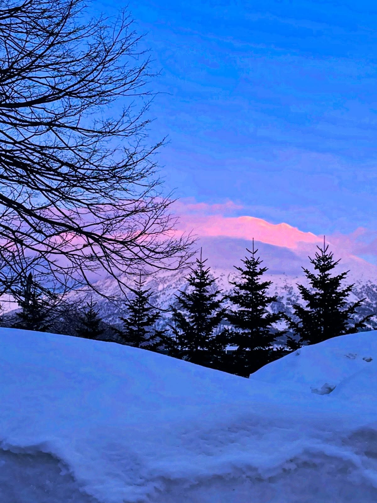 Mt Yotei on sunset 🩷