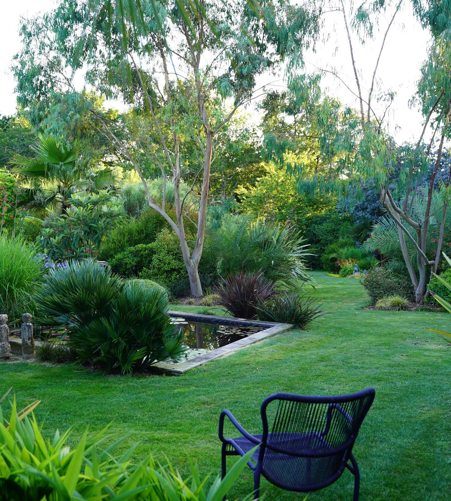 Ur lorea est l’un des 3 jardins exotiques
🌱dessiné comme un petit boudoir intime que l’on découvre au bout de l’allée caradoc. L’exercice était de mettre en scène le rouge et le bleu, rouge comme canna, erythrine, schyzostilis, hemerocalle, bleu comme agapanthes, echium, eucalyptus, poterie ou mobilier bleu
🌱jardin des barthes sur 5ha en 8 tableaux et 2500 essences
🌱sud des landes portes du pays basque
🌸les visites reprennent à partir du 25 avril 14h30
#jardinremarquable #jardin #garden #gardening #jardinexotique