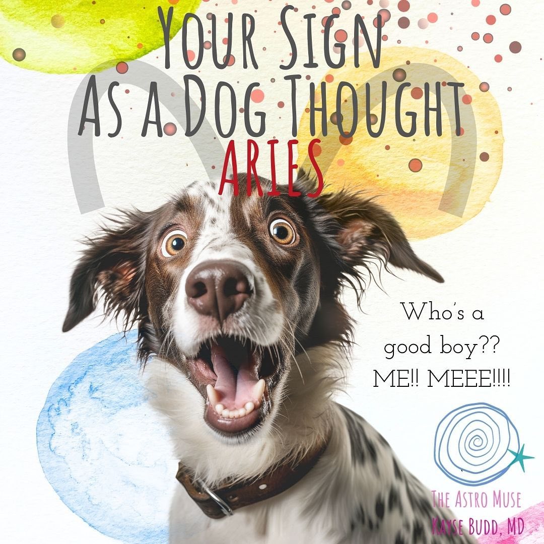 Which DOG are you?!?! 🐩🐶♥️ Part I
.
Here’s a quirky Aquarius season meme for you … ♒️
featuring ASTRO-DOG!! ✨🐕🦺✨
.
Check your sun, moon, and rising signs!!
.
Second set (for the rest of the signs) coming soon!!
.
Here are some Aquarian themes to ponder this month:
🪄What vision, dream, or project do you want to bring forth over the next six months?
✨ What steps can you take to get the energy moving?
💥 Anyone feeling a little tension? Mars conjunct Pluto is a difficult aspect this month. Chiron conjunct north node is a second challenge lasting several weeks (before and after its peak Feb 19). Expect some power dynamics/struggle for control and triggers/encounters with some of your wounds.
Art, yoga, funny memes, and deep breaths help!!
.
😽For cat lovers, there’s a set of cat memes a few months back in my feed. Check it out!!
.
Which dog is your favorite?? Out of this set, I’m feeling the Leo dog! (I have a bunch of fifth house (the Leo house) placements in my chart. Makes me kinda Leoish sometimes!) But I can def be like the Virgo (my moon) and Taurus (my south node) dogs, too. And even the excitable Aries. Which one are you?!?
.
🫶Want a personal astro reading or to learn astrology from me? I also have an ebook on Finding Your Purpose! Check my link!
.
😘 Hope these made you smile!
.
#astrodog #astromemes #dogmemes #justforfun #astrologersofinstagram #newmoonaquarius #beweird
