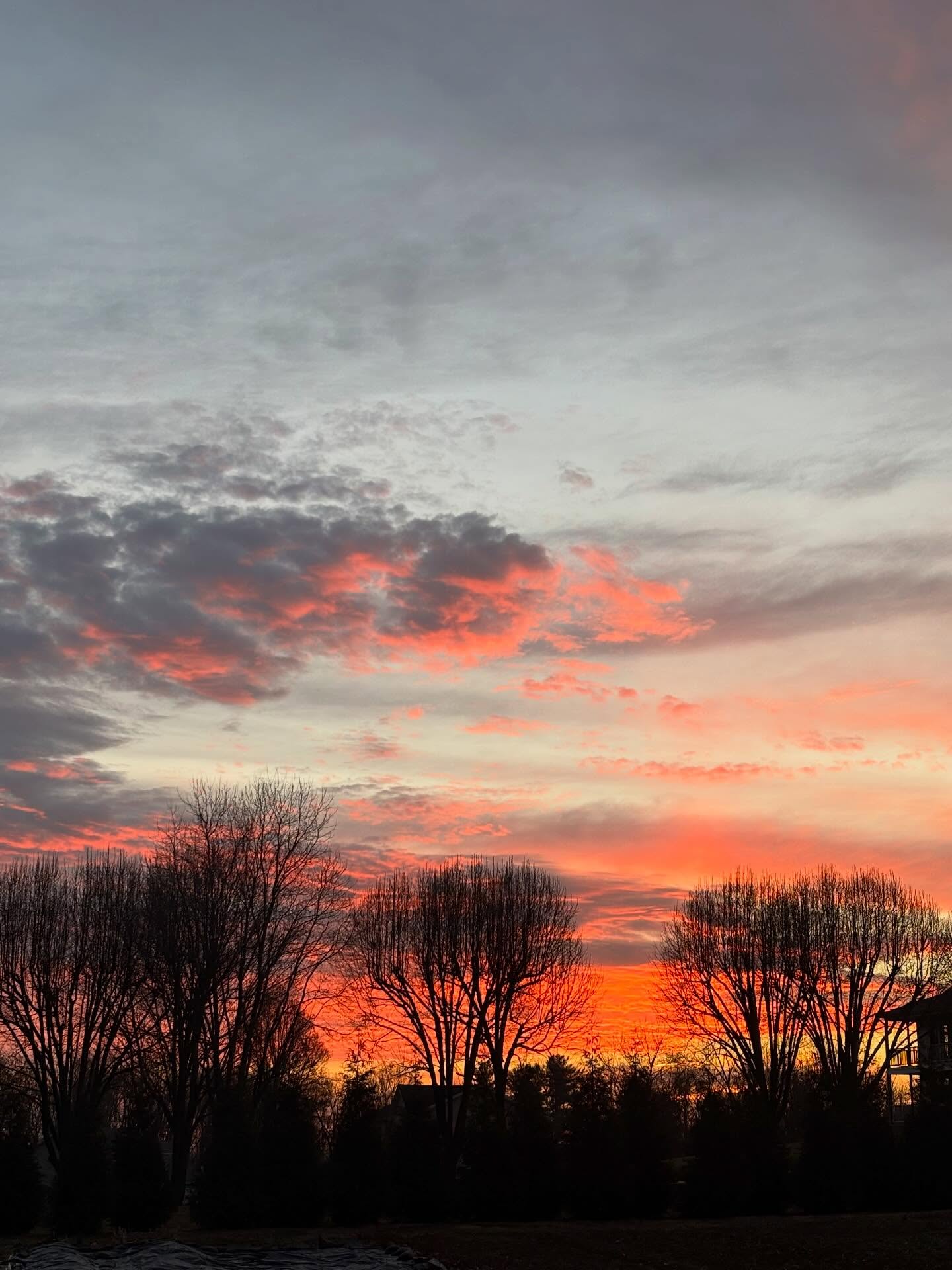 Lucy: “Nature is having quite a day.” Yesterday began and ended with such drama that I was yet again reminded that whether I succeed or fail, get to all the farm things or not, there are such mighty forces adapting, orchestrating and always surviving that I should just loosen and enjoy this wildly beautiful ride. (All the dots in last pic are frog eyes!)