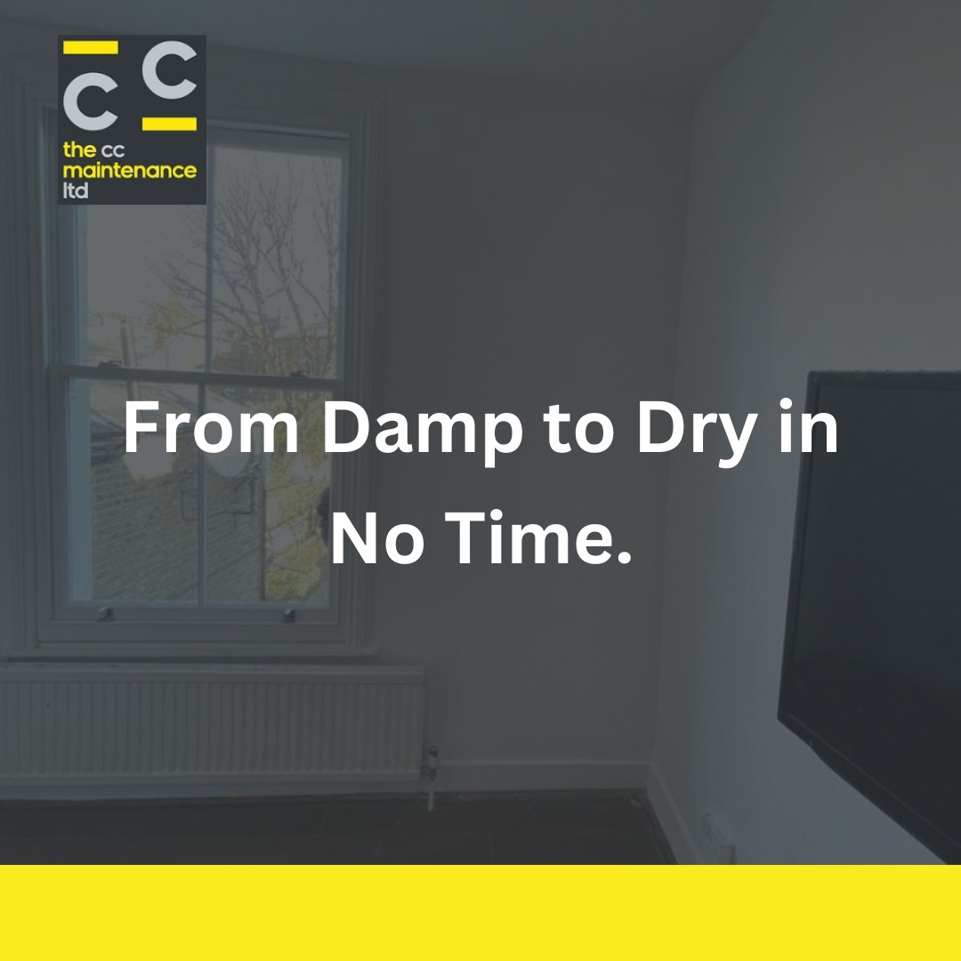 Check out these stunning before-and-after images of our recent residential damp removal projects.
At The CC Maintenance Ltd, we're dedicated to restoring the beauty and functionality of homes.
Say goodbye to damp issues and hello to a fresh, pristine living space.
If you're facing similar challenges, don't hesitate to reach out to us.
020 8092 2060 | info@theccltd.co.uk
We're here to make your home a haven of comfort and perfection.
#DampRepair #HomeRestoration #TheCCMaintenance #MaintenanceLondon #BuildingMaintenance #MaintenanceExperts #London #Hertfordshire