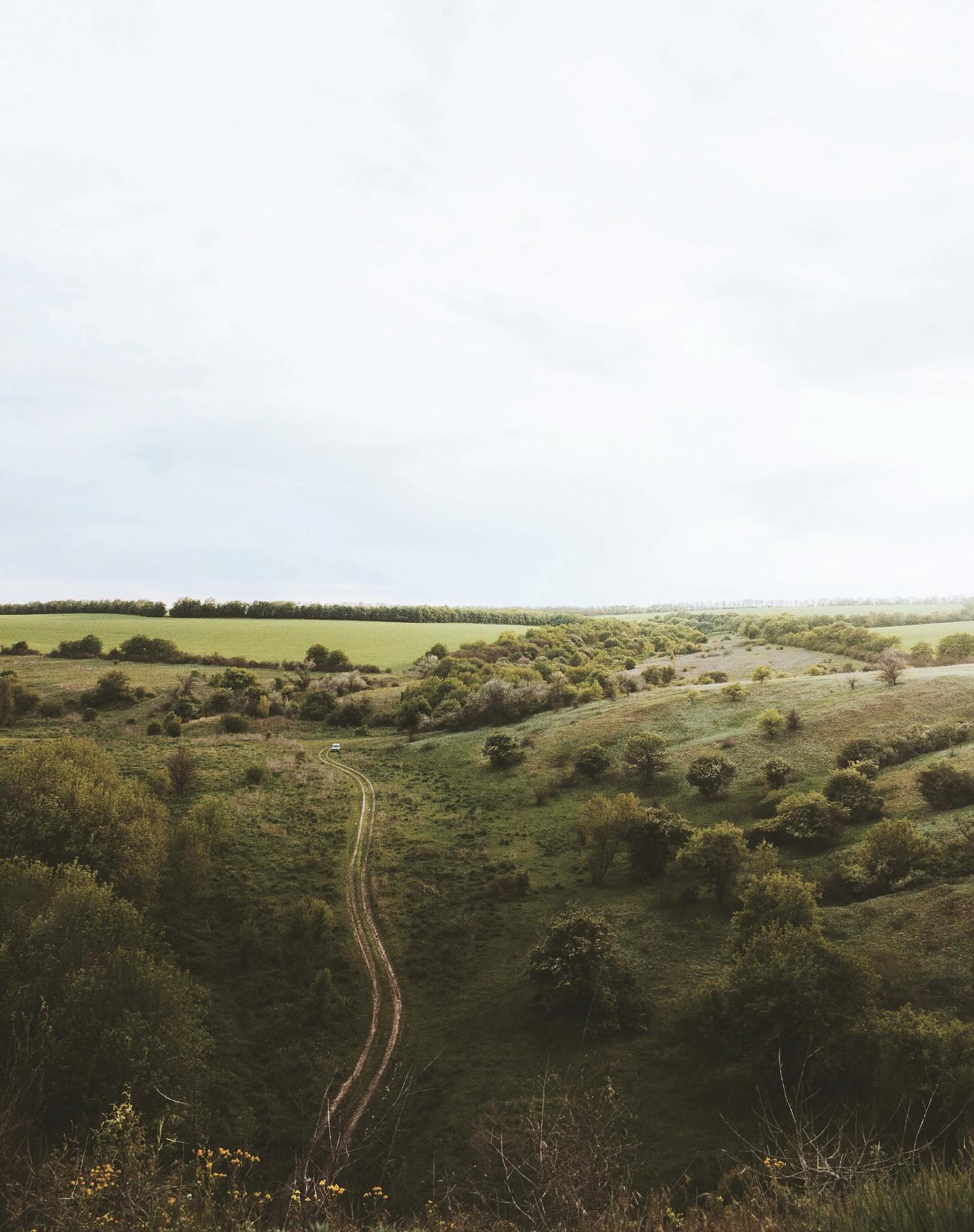 This Spring at Flore, we’re welcoming guests for all kinds of special moments.
.
Photoshoots, parties, christenings, wedding anniversaries …
.
It’s a very special time of year.
.
Get in touch to see our availability for exclusive hire of Flore House for your special moment.
.
#uniquevenue #exclusivehirevenue #florehouse #northamptonshire