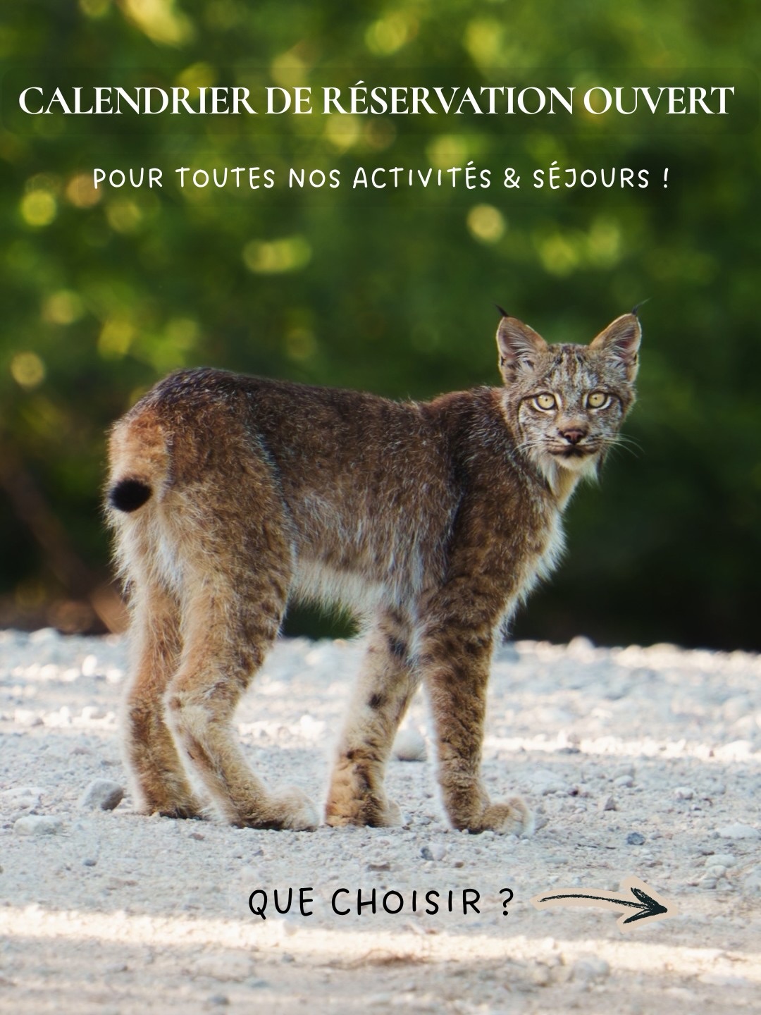 📣 Le calendrier de réservation est ouvert pour toutes nos activités !
Que ce soit une activité à la journée ou ralentir sur plusieurs jours, nous offrons différentes possibilités ! Découvrez quelle activité est la plus adaptée à vos besoins. Vous pouvez aussi nous écrire ou visiter notre site web pour en savoir plus sur ces offres.
Nous avons à cœur de faire vivre des expériences authentiques dans le monde sauvage et de faire découvrir notre territoire naturel et ses habitants afin d’émerveiller petits et grands ! 🐻🌲
👉 RDV sur cœur-sauvage.ca