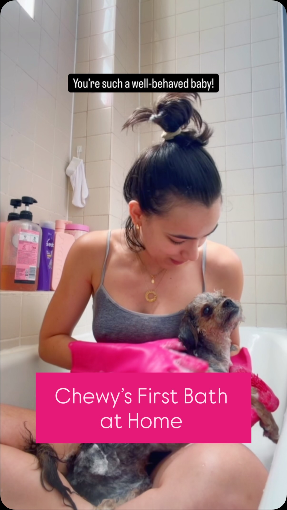 Lil Chewy’s🐶🤎first ever bath at home (also my first time giving a dog a bath, EVER😂). Let me know how I did in the comments! 🙈😇 *Accepting all the tips I can get, please and thank you*
Primeiro banho em casa do Chewyzinho🤎🐶(e minha primeira vez dando banho em doguinho😂). Fala aí como eu me saí nos comentários! 🙈😇 *Aceito todas as dicas possíveis, obrigada, de nada*
#dogbathtime #athome #yorkipoo #furryfriends #firsttime