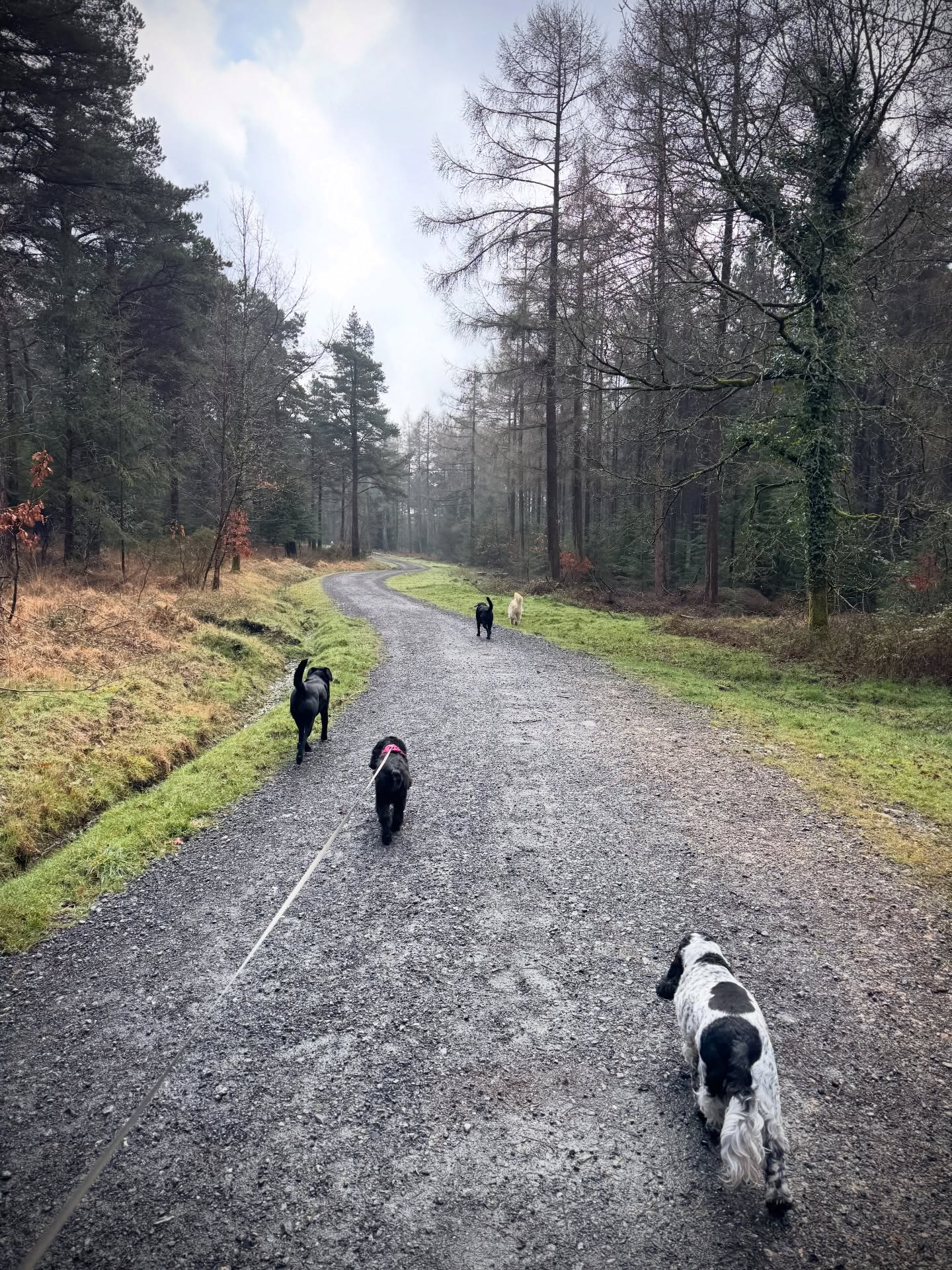 Monday’s Squad. Boys were mental. Girls were not!!