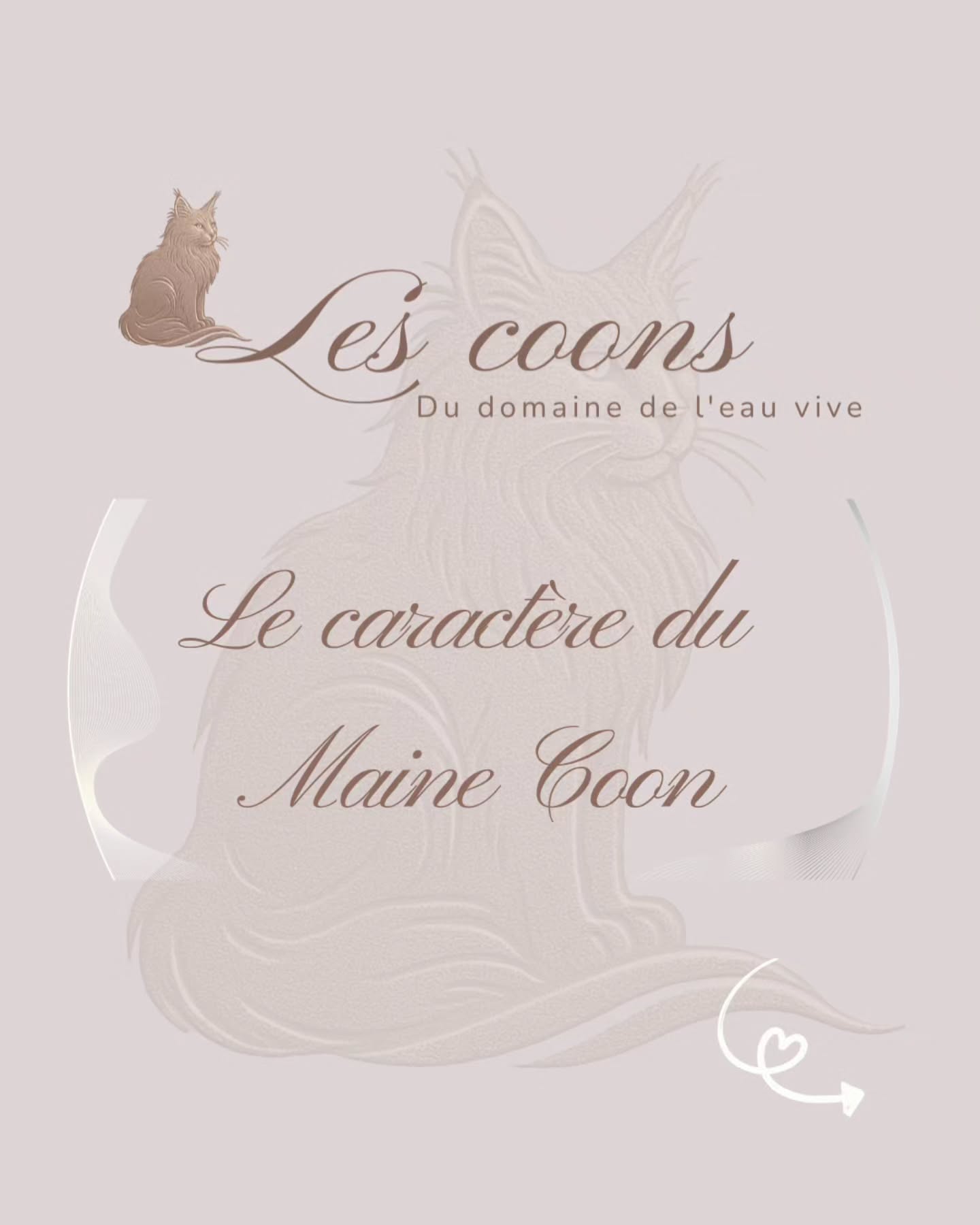 Doux, affectueux et très sociable, le Maine Coon est un vrai chat-chien 🐱🐶
Il adore la présence humaine et créer un lien fort avec sa famille.
Avec passion 🤍
Carine Zimmermann
Éleveuse de Maine Coons
Affiliée au Cat Club Romand
Domaine de l’eau vive
1724 Bonnefontaine
+41 79 281 93 88
www.lescoons.ch
#mainecoon #chat #chatsheureux #mainecoonlife #chatchien