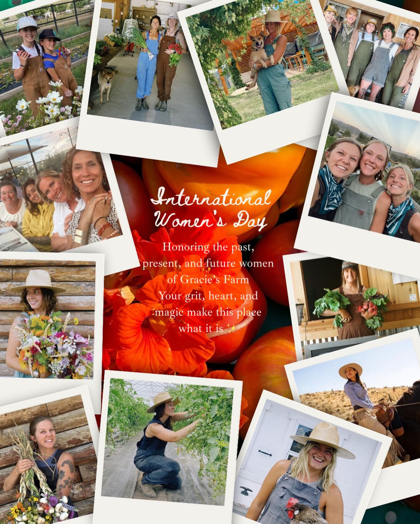 To the women who plant, tend, harvest, create, and care for this farm - thank you!
Happy International Women’s Day 🌸👩🏼🌾