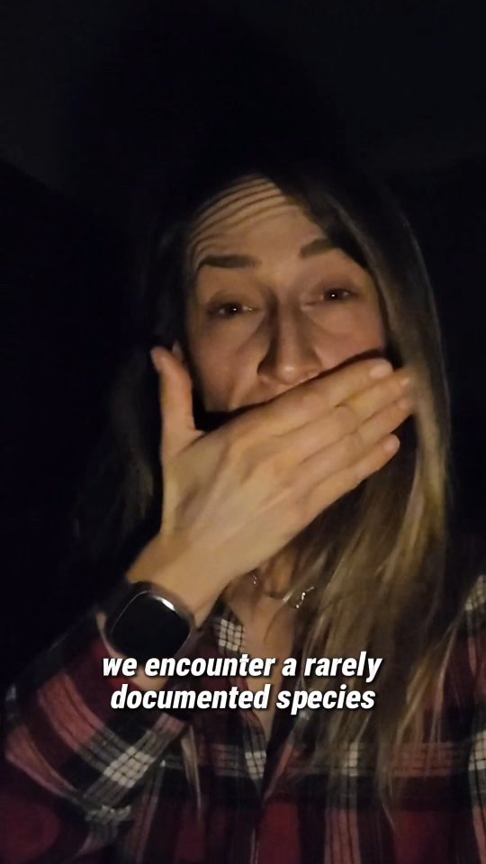 The Introvert in the wild
#introvert #runclub #running #personaltrainerchichester #fitover40