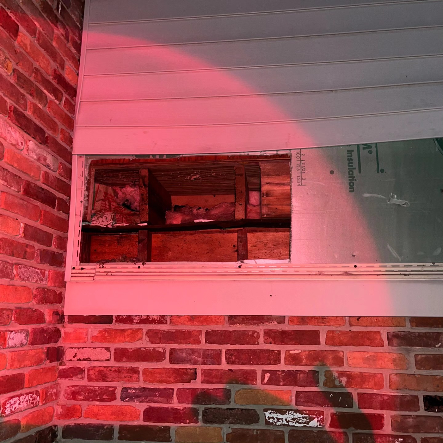 Jonathan: "I'm going to look at some bees that need removing tomorrow"
Also Jonathan: "heck, I might as well go ahead and remove them!"
Excellent work!
#NightBees