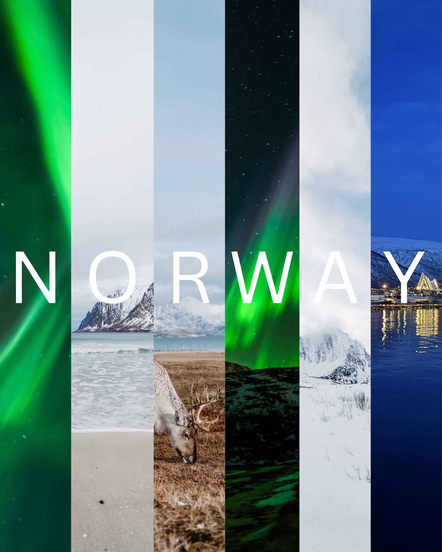 Tusen takk, kjære Norge🇳🇴💕
Wow, was für wunderschöni Moment hani da i de Region um Tromsø dörfe erlebe🥹
✨ Magischi tanzendi LadyAurora am Himmel, wo mi zu Träne grüert het und stuune lah het. Die Magie vu dem Naturschauspiel laht nie nah🙏
✨ Rentier am Strand, wo eusi Nöchi zuelah hend und mir ewig hend dörfe die Tierli beobachte und fotografiere📷💕
✨ Die unberüehrti und wunderschöni Landschaft mit ganz viel klarer Luft & Stilli⛰️❄️
I bi gad so fest dankbar, dass i das Alles ha dörfe erlebe & gseh. Mit wunderschöne Bilder & Herzensmoment verlahn i mini Herzensheimat 🇳🇴 und flüüge hei💕
Vi ses🇳🇴❤️
STEPHANIEBUECHEL
STEPHANIEAURORA
ABTWILSG
FOTOGRAFINSTGALLEN
FOTOGRAFINOSTSCHWEIZ
RETREATSCHWEIZ
AUSZEITSCHWEIZ
ZURÜCKZUMIR
FURNA GRAUBÜNDEN
STGALLEN
RETREATNORWEGEN
TROMSØ
FOTOREISEFÜRFRAUEN
LIFECAOCH
ZYKLISCHESLEBEN
FRAUENPOWER
FRAUENCOACH
TAGESAUSZEITSTGALLEN
STEPHANIESSAFESPACE
SCHWEIZERPODCAST
PODCASTAUFSCHWEIZERDEUTSCH