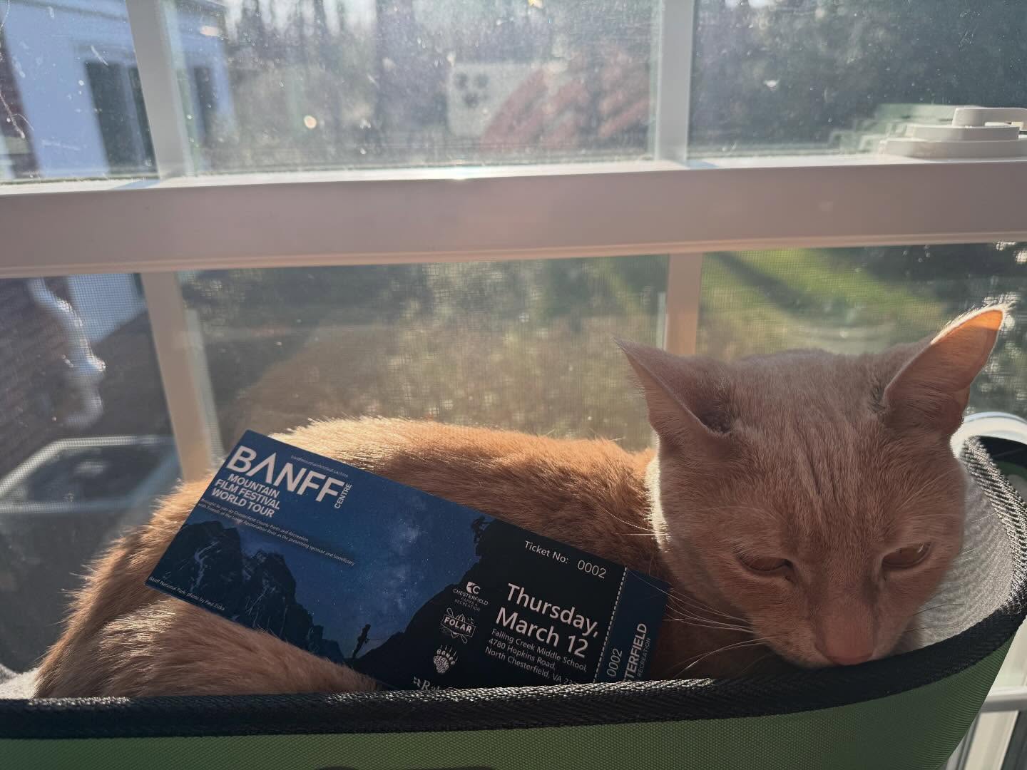 Little Mayo is upset that she can’t make it to the Banff Film Festival tomorrow in Richmond, so if you’d like to go in her place just let us know and the ticket is yours:)