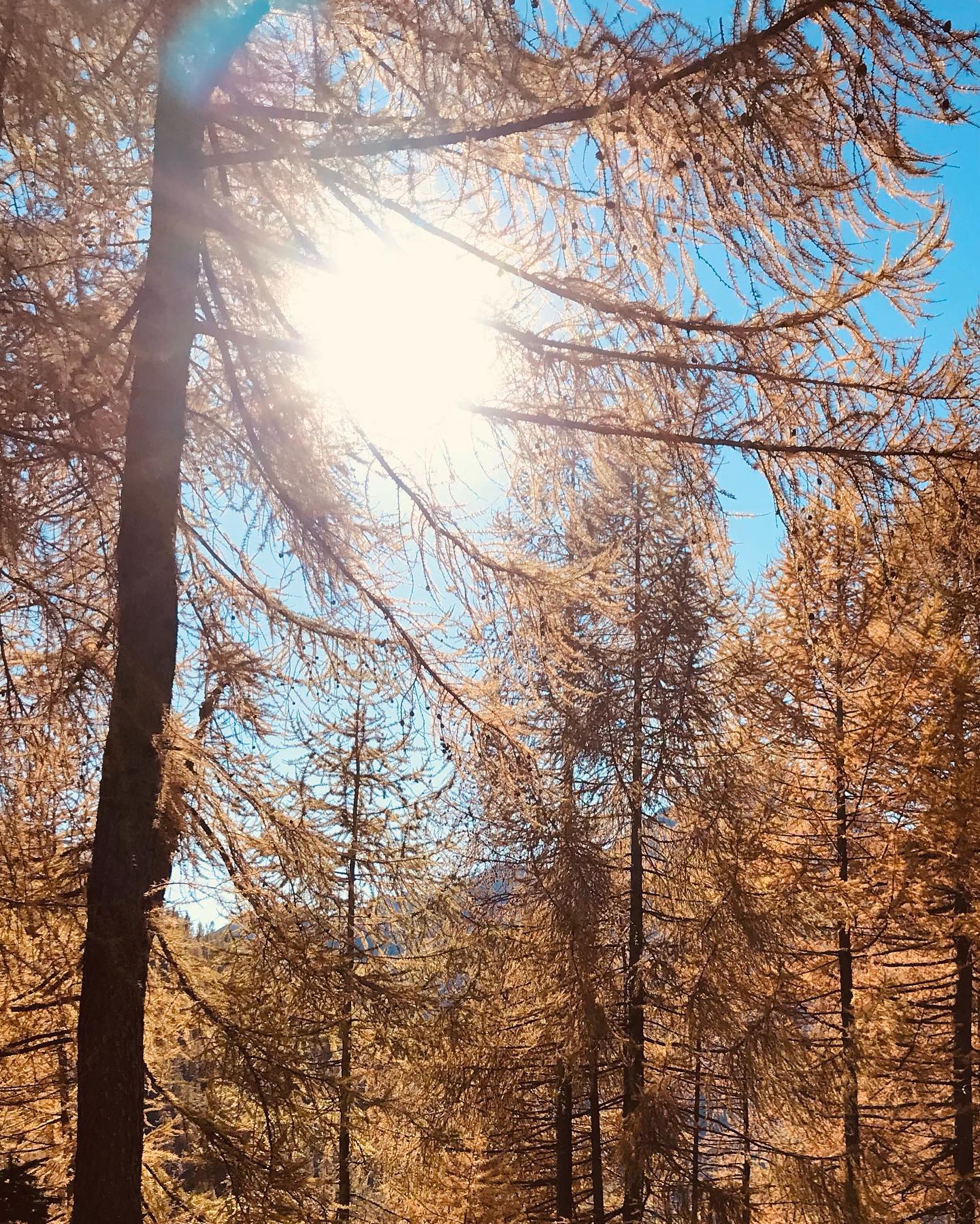 Carcoforo☀️ #lagomaggiorecanyoningmountainguide #live #life #follow #mountain #autunno #beautiful #best #amazing #nature #sunny #holiday #action #active #friend #water #happy #motivation #photography #smile #day