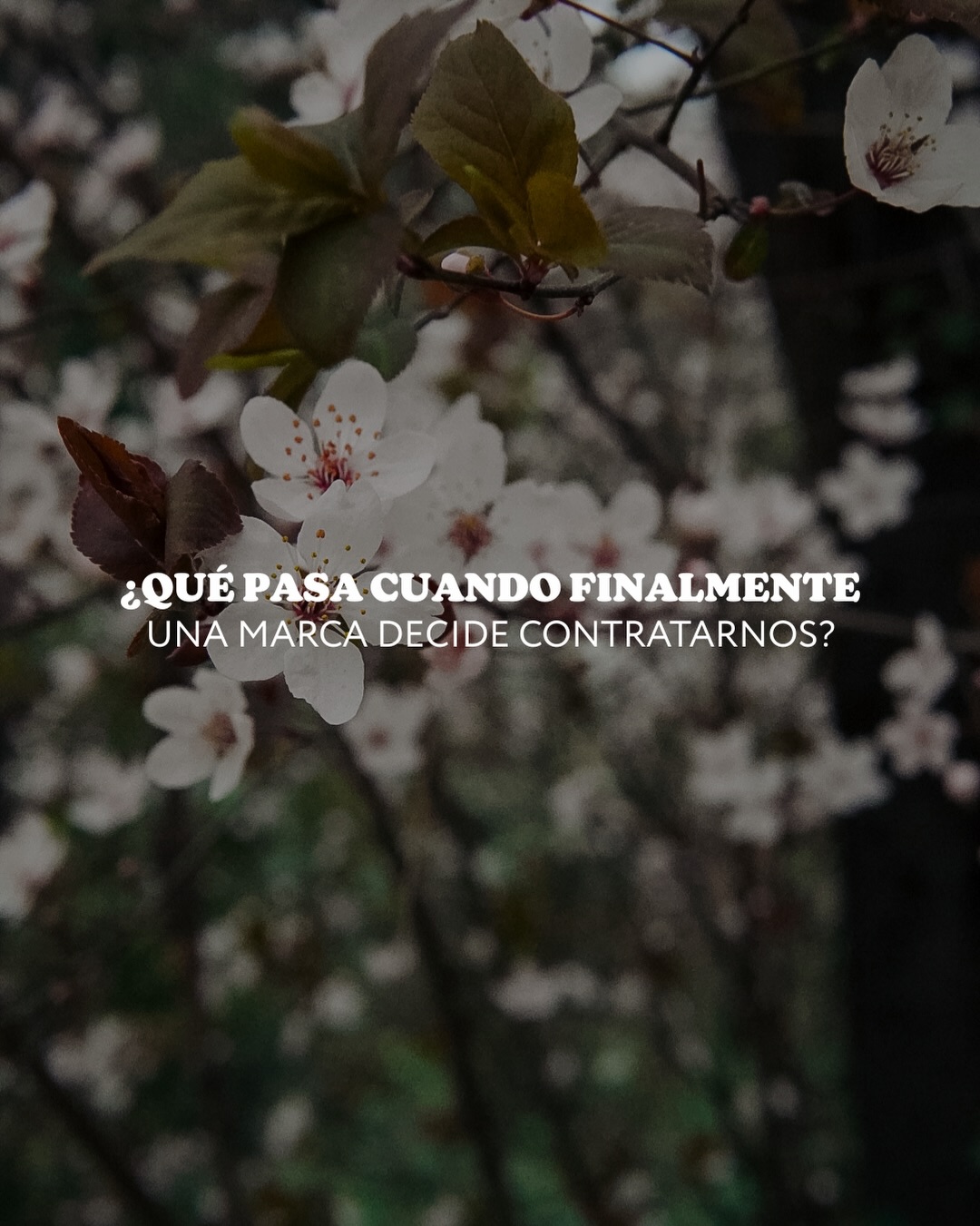 Cuando decides trabajar con Sunset Media Club pasan varias cosas 🪄
😮💨Tus redes dejan de ser algo que subes cuando te acuerdas o cuando tienes tiempo
👀Empiezas a tener estrategia, estructura y consistencia… y tú puedes volver a enfocarte en hacer crecer tu negocio
Porque manejar redes, pensar ideas, grabar, editar y publicar toma mucho tiempo y no tienes que hacerlo todo sola!!
Aquí entramos nosotras:
estrategia + contenido + dirección clara para tus redes 🗣️
Si sientes que tus redes están estancadas o que simplemente no te da la vida para todo, tal vez ya es momento de delegarlo
💌 Escríbenos por DM si quieres trabajar con nosotras !!
#socialmediamanagerroatan #marketingroatan #contentcreator