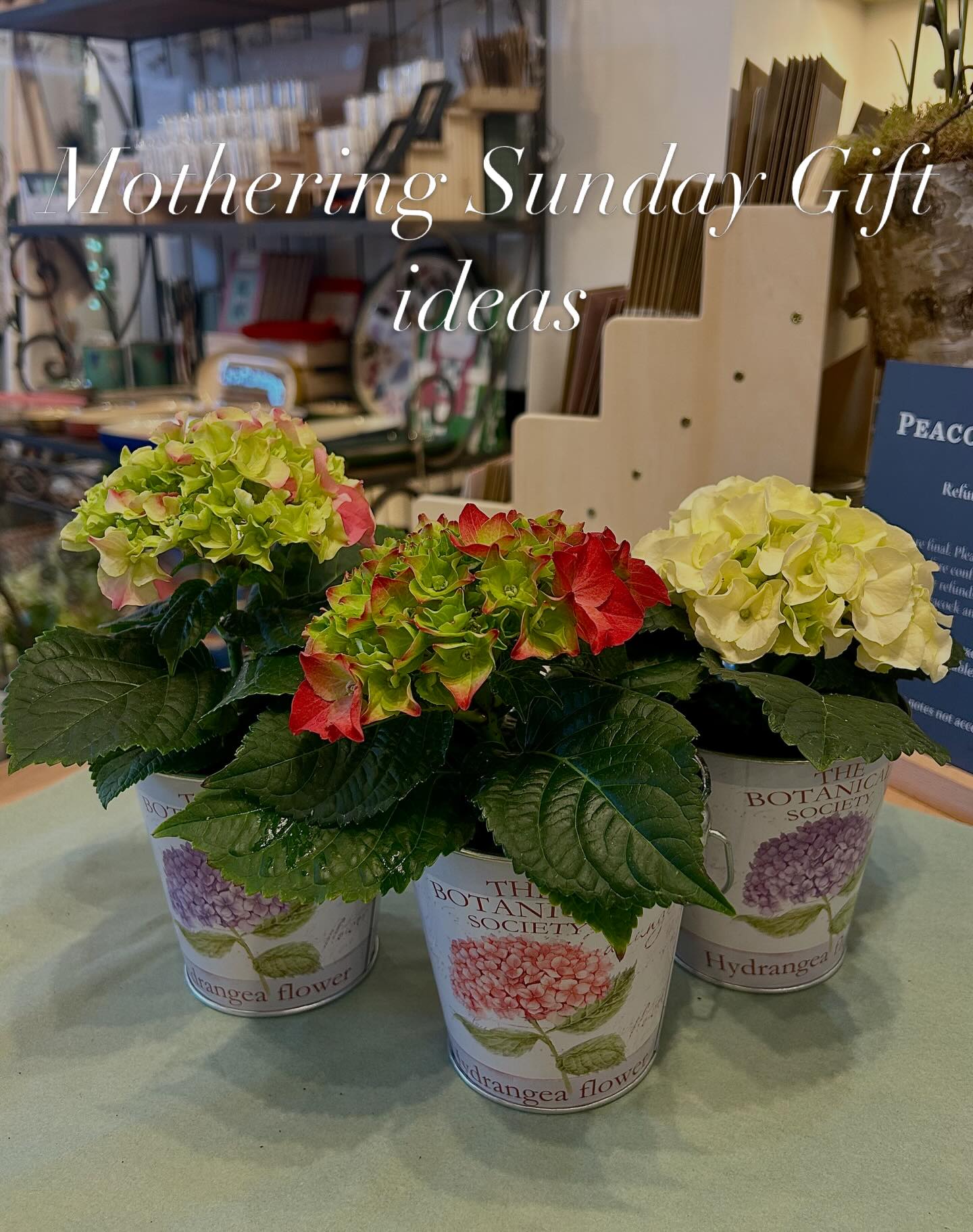 Bespoke plant arrangements available…. #mothersdaygifts #mothersday #love #gifts #forher