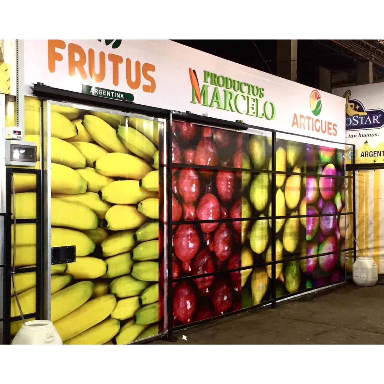 Renovación de conservadoras
VINILO+CORPÓREAS