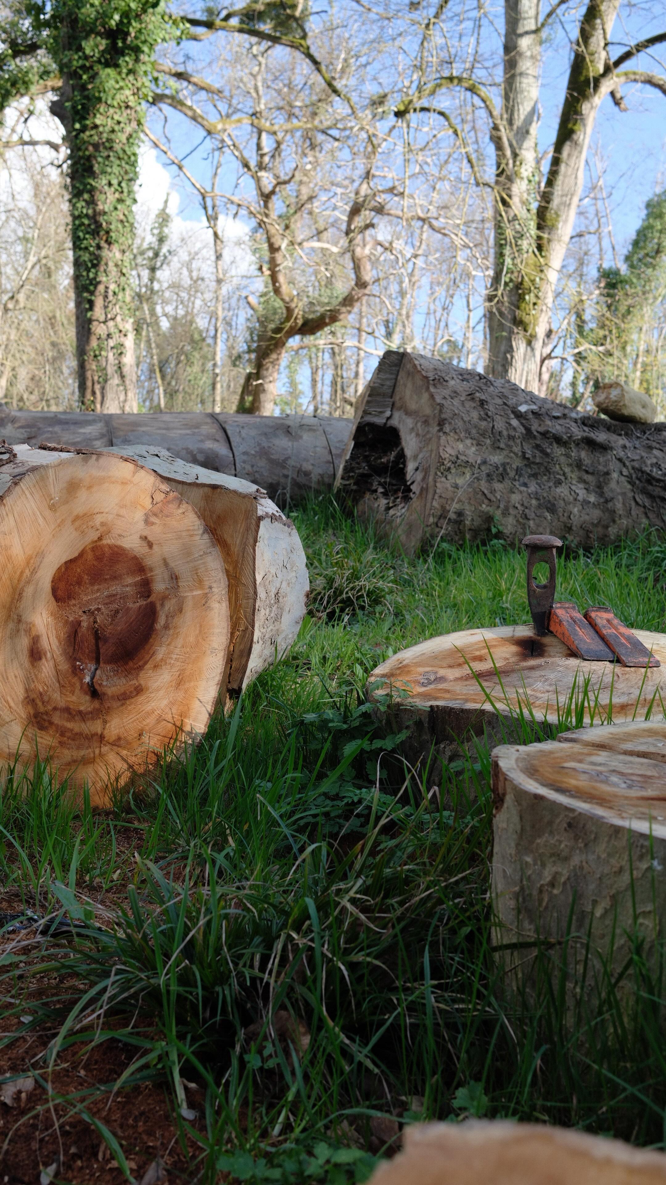 Il y a les châteaux que l’on visite…
Et puis il y a celui que l’on habite.
Ici, les journées sentent le bois coupé,
la cheminée qui fume au loin,
les petites mains qui ramassent des branches,
et le soleil qui nous remercie le soir.
On prépare la saison prochaine,
on nettoie, on range, on empile…
et puis on s’arrête une minute.
Une timbale chaude entre les mains,
Mon petit garçon à mes côtés,
le ciel qui s’embrase au-dessus du parc.
C’est fatiguant.
Mais c’est beau.
Et c’est chez nous. 🤍
#VieDeChâteau #VieAuGrandAir #bonheur #ChâteauEnTouraine #Instamood