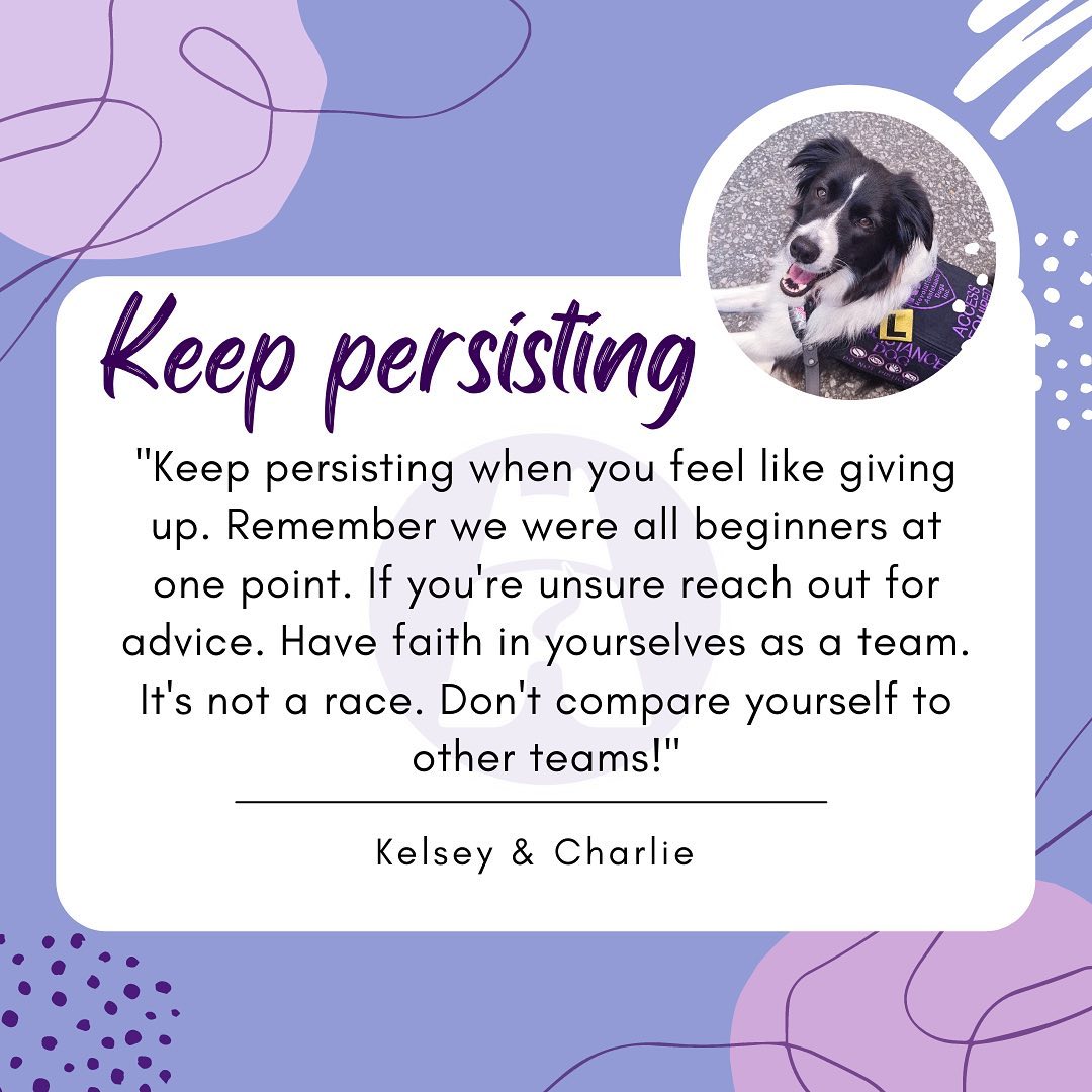 For teams starting out! 🐣
Sometimes it's easy to forget that we were all beginners once!
We've asked some of our RAD teams to share their most valued tips and tidbits of advice that they’ve discovered through their own assistance dog journey as a little bit of encouragement, no matter where you are on your training journey! 🔴🟡🔵🟣
If you found these helpful and think you could benefit from more, don't forget that we also have our mentorship program, where newer members are paired with a more experienced RAD handler. 🤝 This gives you someone to confide in and reach out to if you have questions or need some encouragement.
🐾To help get you start the year off on the right paw, our 2022 calendars are still available! 🗓 Featuring the faces and stories of a variety of our incredible RAD dogs, all proceeds go straight back into assistance dog education and support programs ✨
Have a question for the RAD team? Send us an email at
info@raddogsinc.com.au
Want to know more about RAD dogs and what we do? Visit our website
https://www.raddogsinc.com.au
#assistancedog #raddogs #pupsinpurple #dogs #melbournedogs #adit #sdit #servicedog #radassistancedogs #radinc
#spoiltpuppy #spoiltdog #assistancedogvest #australianassistancedog #mentorship #supportothers #trainingtips #trainingadvice #dogtraining #dogtrainingadvice