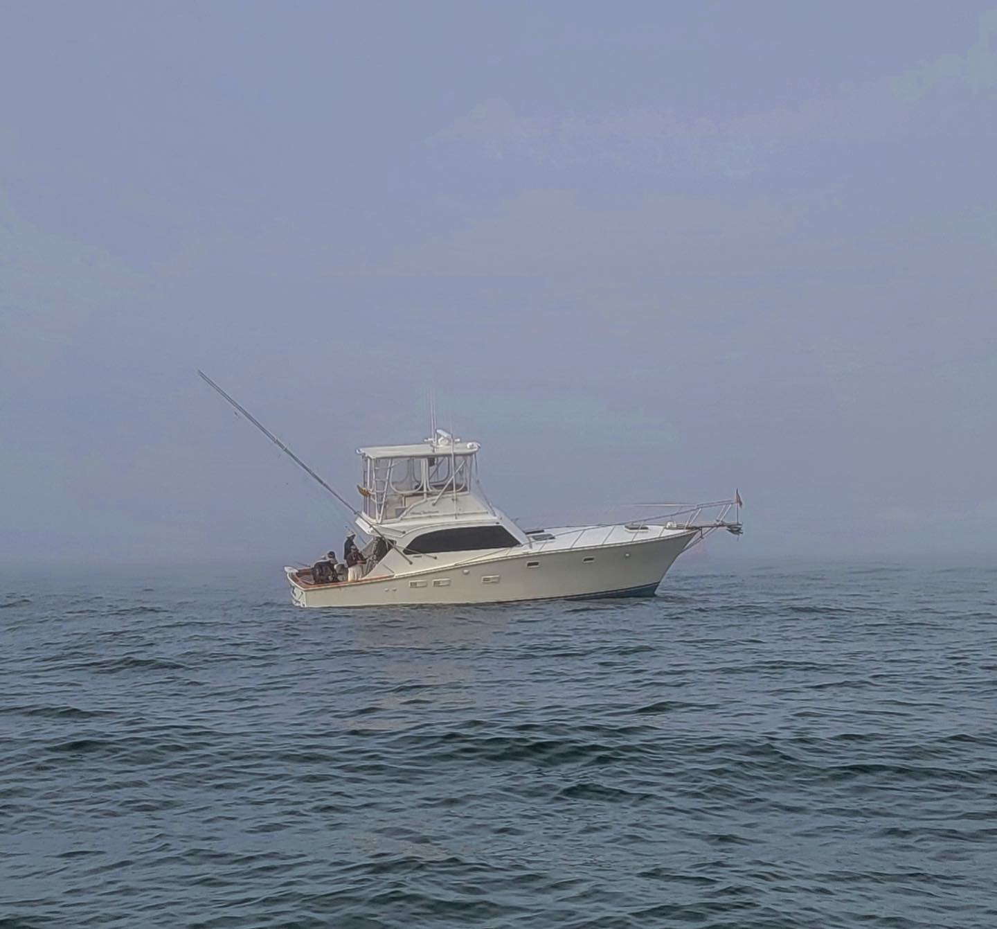 Always forget to post but Havoc is looking good for the season. Let’s go Wreak some Havoc