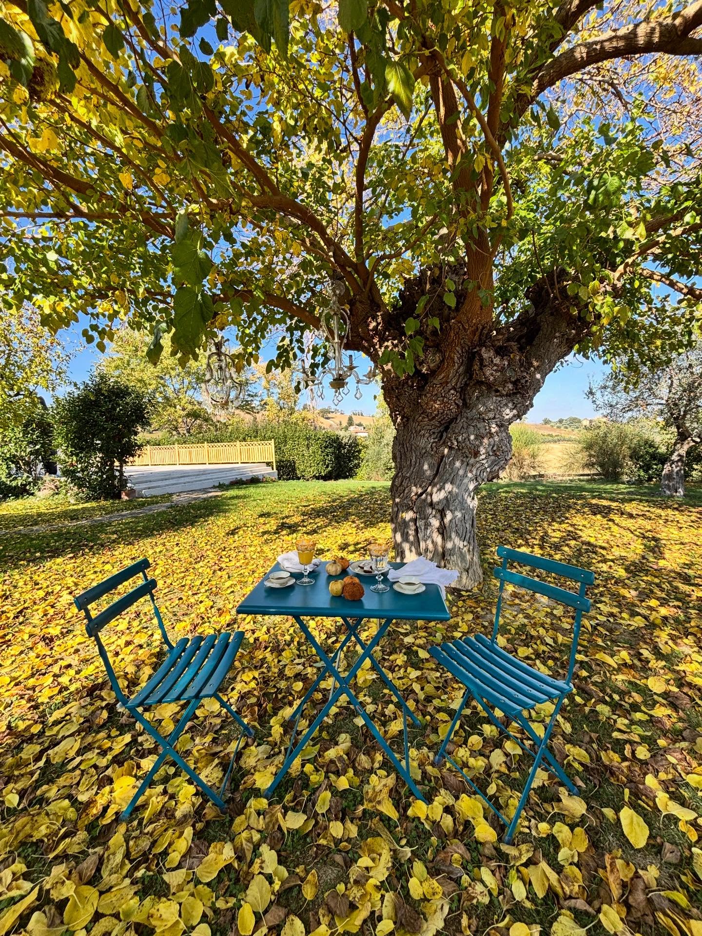 Buongiorno! ☕️🧁🫖🍪🍼🍩