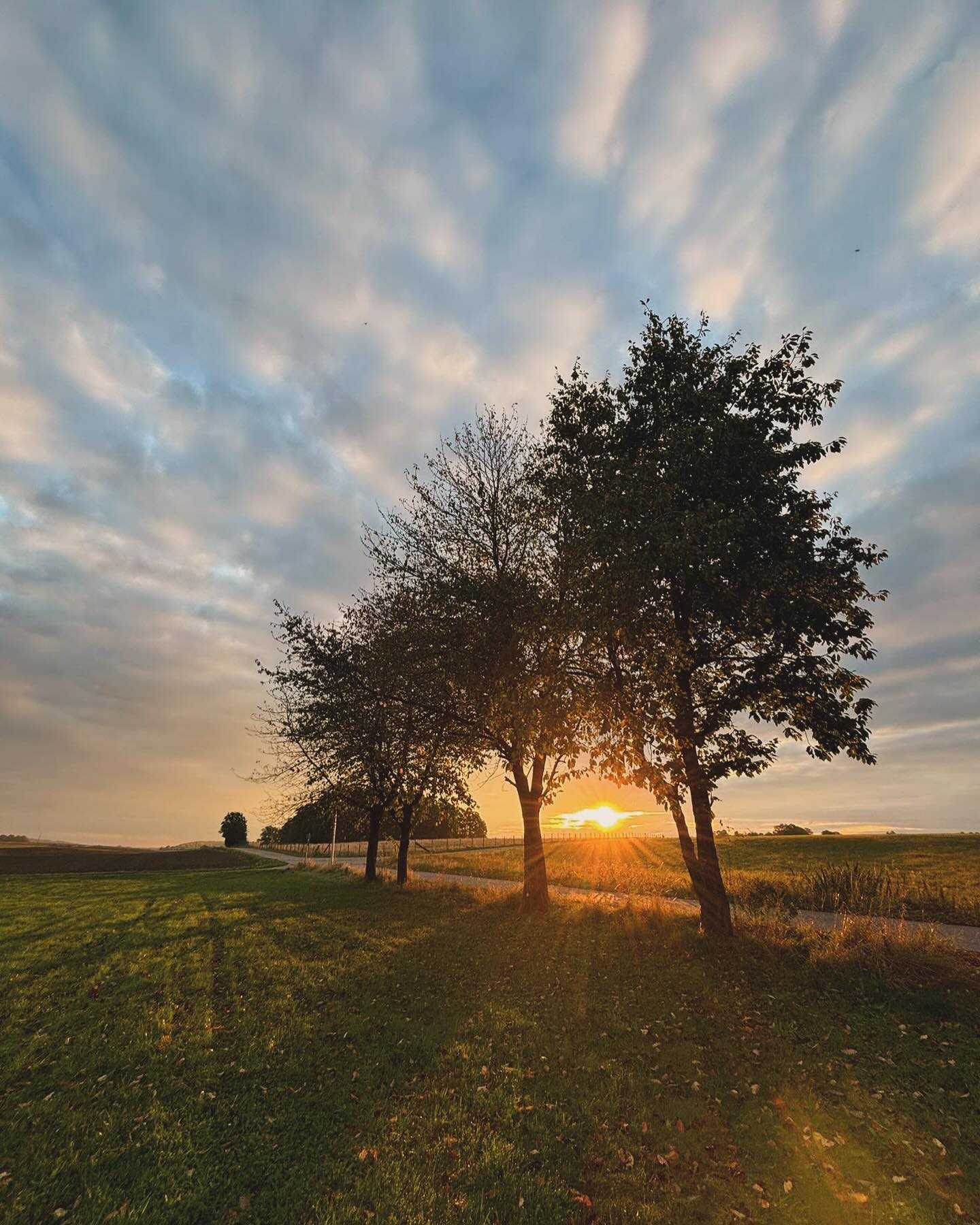 Waidmannsheil 🍀
Hier mal wieder ein paar schöne Eindrücke aus dem Revier.
In den kommenden Tagen und Wochen stehen noch die letzten Vorbereitungen für die anstehenden Jagden an.
Für mich immer mit eine der wichtigsten Phasen, da sich für mich mit der Vorbereitung (Standauswahl, Hunde, welche Schützen stehen wo) immer der Jagderfolg zumindest ein Teil beeinflussen lässt.
Beste Grüße und euch einen guten Start in die Drückjagd Saison. 🍀✌️📯🦌🐗
#jagd #drückjagd #schwarzwild #rehwild #rotwild #wildfleischvomjäger #jagdvorbereitung #revierliebe