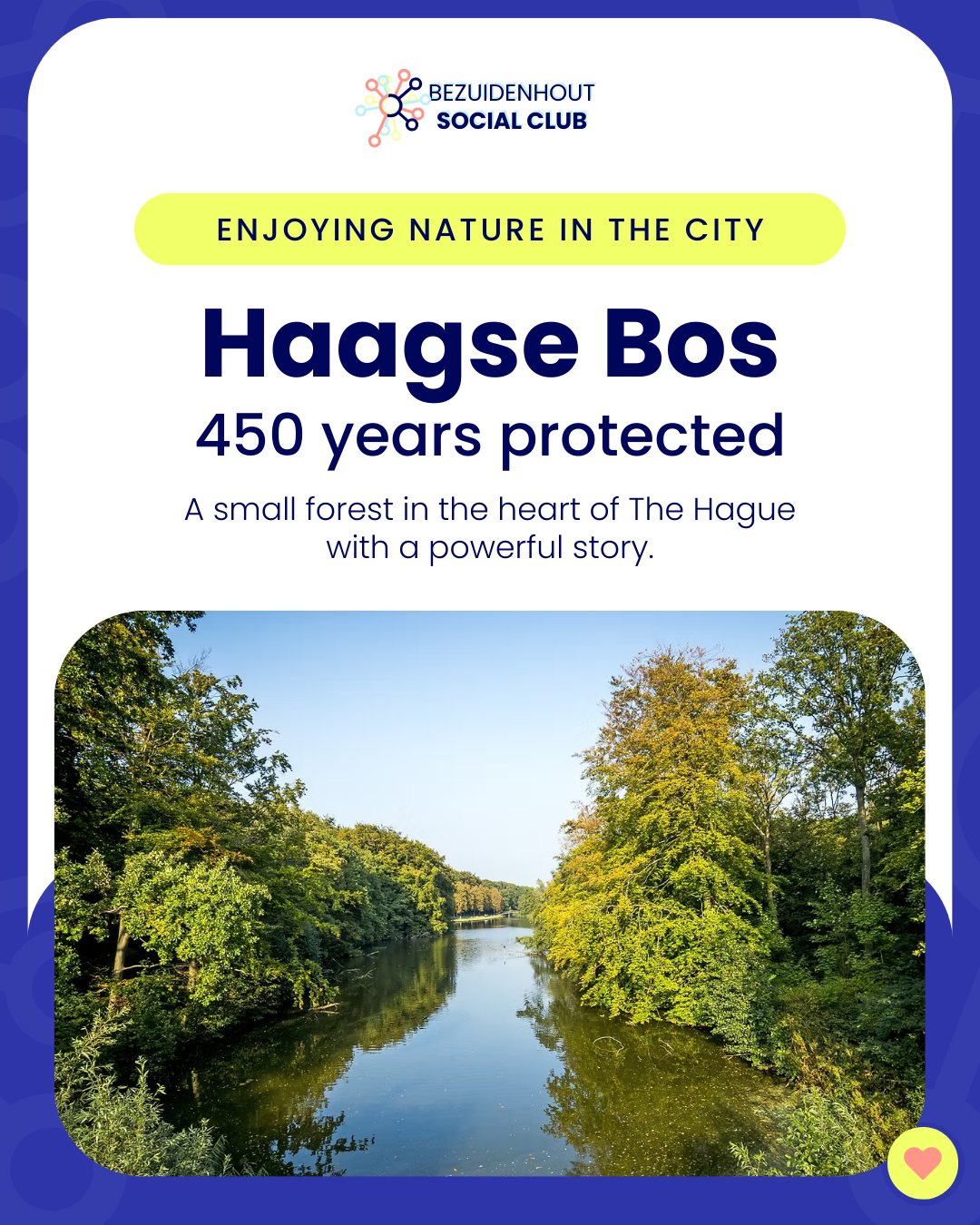 🌿 Haagse Bos | 450 years protected
For more than four centuries, the Haagse Bos has been a place for walks, fresh air, and moments to slow down in the heart of The Hague.
Curious about the story behind this remarkable forest?
You can read the full article via the link in our bio.
It is also where we host our Walk & Talk gatherings, where conversation flows naturally while walking side by side in nature.
Our next Walk & Talk | Social Networking in Nature:
📅 21 March
🕘 11:00 – 12:00
📍 Haagse Bos (meeting point: UNICEF Bridge)
Bring your coffee or sandwich and join us for a relaxed lunchtime walk and meaningful conversations. 🌿
Reserve your spot and read the full blog post via the link in our bio 👉🏼 @bezuidenhoutsocialclub
#BezuidenhoutSocialClub #Bezuidenhout #TheHague #internationalcommunity #TheHagueNature #HaagseBos #WalkAndTalk #TheHagueEvents