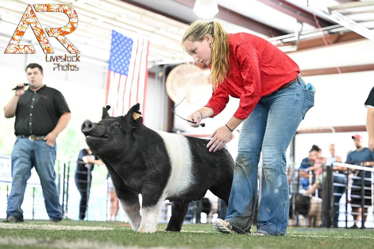 Sʜᴏᴡᴅᴏᴡɴ ɪɴ ᴛʜᴇ Sᴀɴᴅ 2024 🏖️☀️
Always a great time for show friends to get together at a nice vacation spot! It’s rare to get to hang out and have fun with our long distance friends at shows and I love seeing everyone come together at Showdown in the Sand, whether it be at the campground or beach.
This year I had the chance to relax for a minute in between editing photos and enjoy the hospitality during an awesome crab and shrimp boil by the bay put on by @danielclublambs_ 🦀
🌊Enjoy 25% off the entire site until Sunday! Code: 𝘽𝙀𝘼𝘾𝙃
🌊View and purchase your favorite photos at the link in bio.
For all other shows and information visit⬇️
WWW.ALEXISRADUNLIVESTOCKPHOTOS.COM
📍Next up: Maryland State Fair… mini session schedule goes live this week for everyone that’s been asking!👀📸