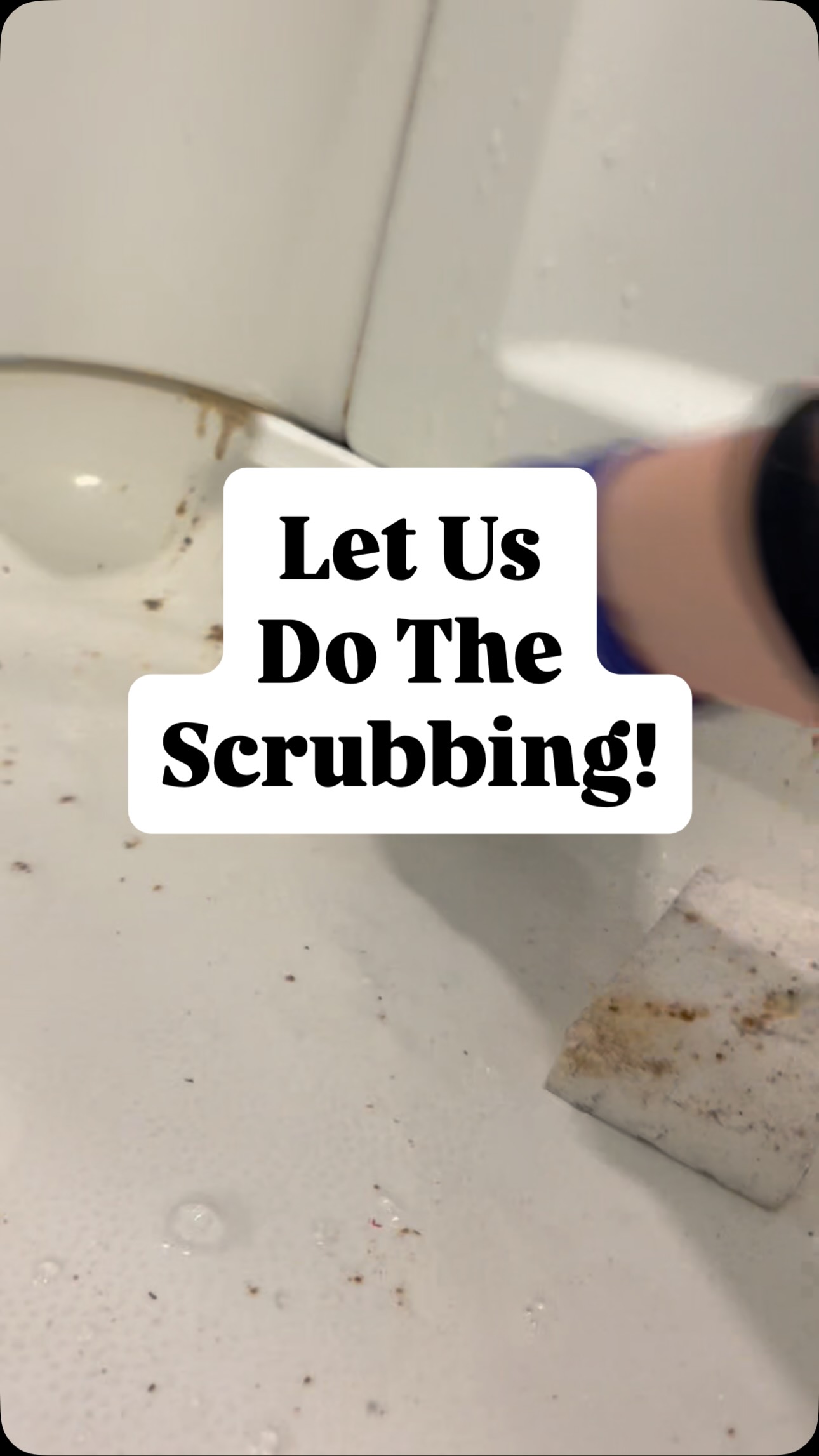 We clean so you don’t have to.
It’s that simple.
Life is too short and if there are better ways for to spend your time, we would be happy to handle the cleaning for you!
Now for some cleaning is therapy. For others, it’s the last thing you want to do let alone have time to do!
That’s where All Spruced Up comes into the picture 👋
Our staff is professional, reliable, trustworthy and our company is consistently growing our skills and expertise.
So whether you wanna be hands off with your home and want to schedule routine cleanings or need a good scrub a few times a year…. We are here for you:)
Let us do what we do best!!!!✨🚽🧽💦🧹❤️
#cleaning #cleaningservices #housecleaningservice #boardman #polandohio