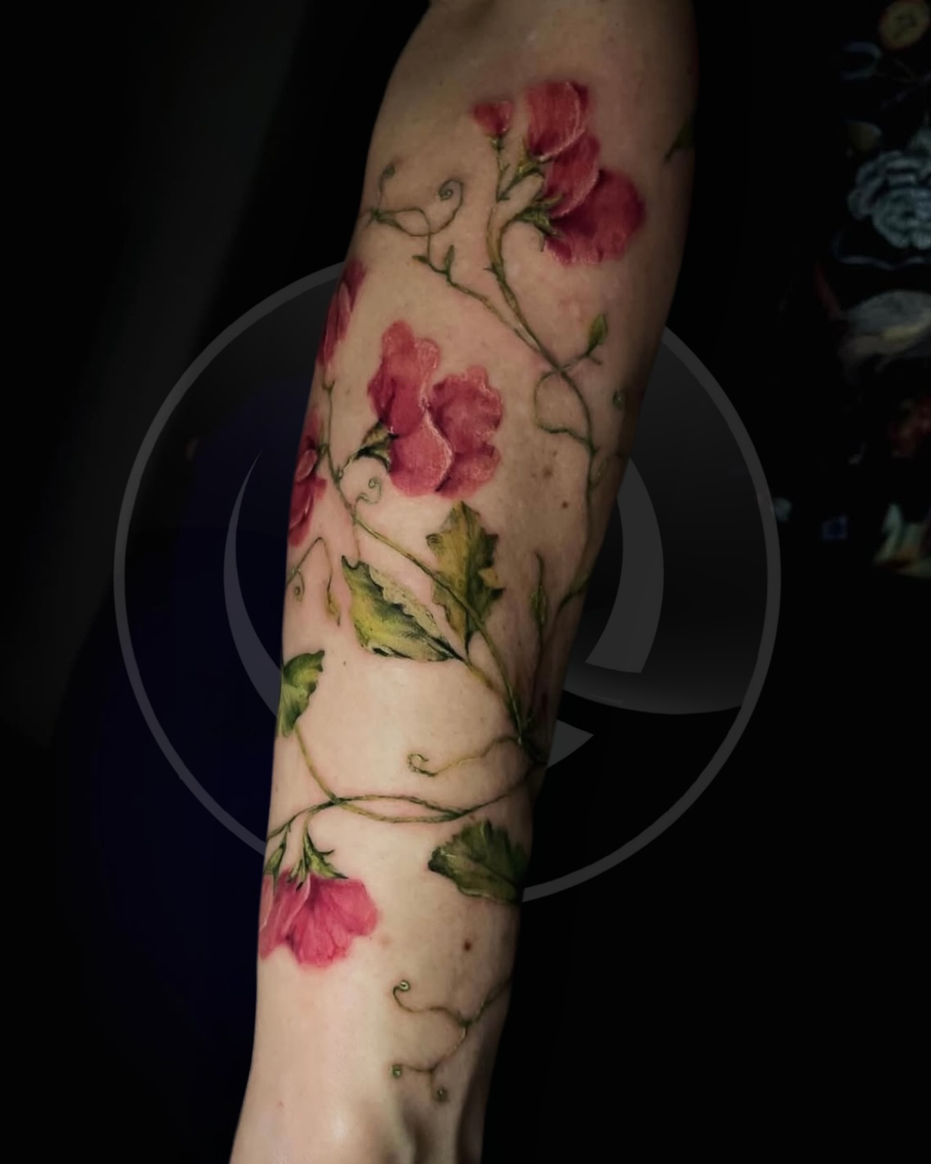 Groszek pachnący w wykonaniu @jagodovatattoo 😍
#flowerstattoos #tatuazkobiecy #tatuażbielskobiała
