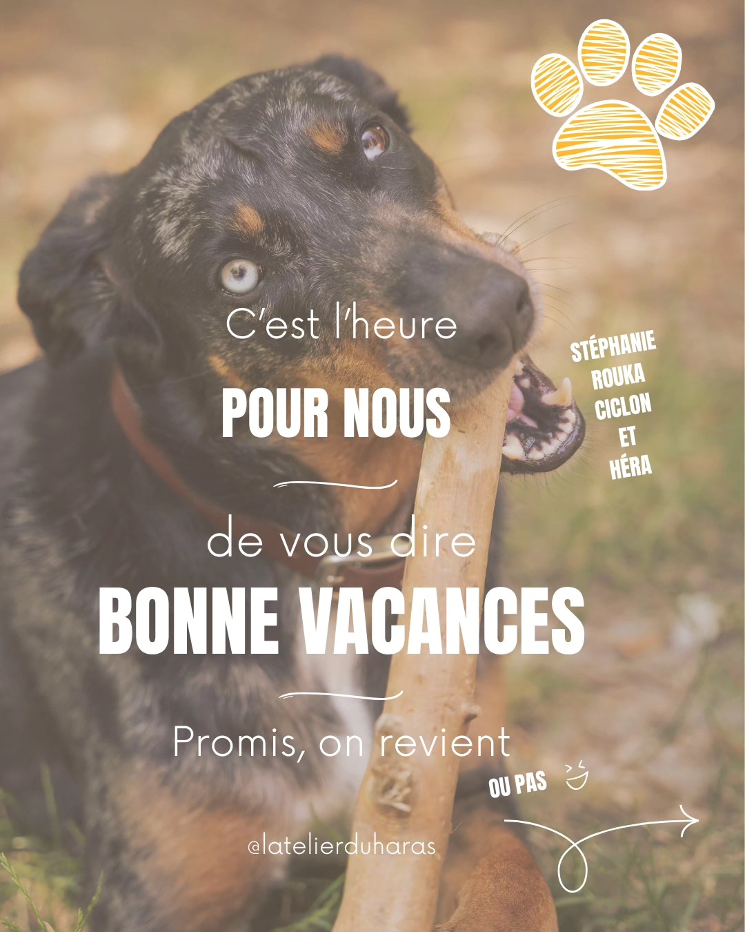 🌞🐾 C’est (enfin !😉) le moment pour nous de faire une petite pause !
Du 19 août au 1er septembre, l’Atelier du Haras sera fermé… histoire de profiter du soleil, faire de belles balades avec Rouka🐶 et laisser Ciclon et Héra brouter avec les copains ☀️🐴
Mais ne t’en fais pas, promis on revient (ou pas… 😄).
En attendant, on espère que toi aussi tu profites de l’été ☀️
Dis-nous en commentaire où tu pars (ou parti ) en vacances cette année !
👇👇👇
Et si ce n’est pas encore fait, n’hésite pas à nous suivre sur Facebook et Instagram pour découvrir nos créations artisanales, les coulisses de l’atelier et la vie de la p’tite troupe au quotidien 🧡
👉 @latelierduharas
#latelierduharas #sellierharnacheur #artisanatfrancais #faitmain #fabriqueenoccitanie #pauseestivale #vacancesbienméritées