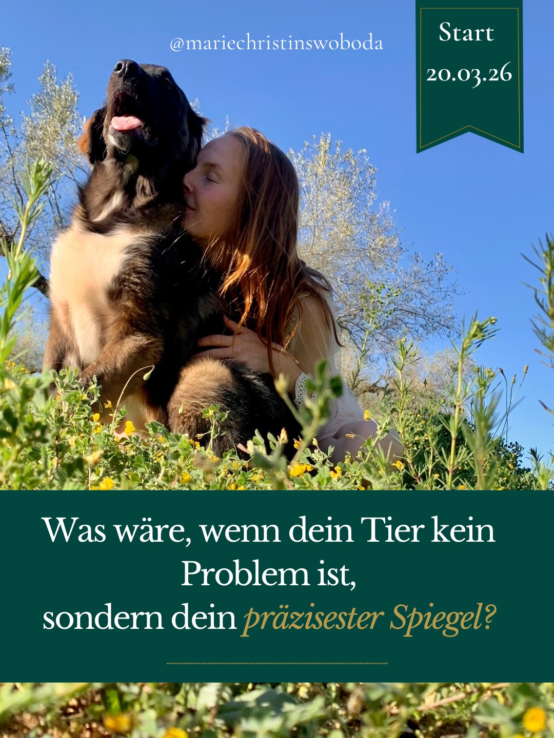 Viele Frauen wollen ihr Tier besser trainieren. Irgendwas funktioniert immer nicht. Der Hund ist agressiv oder er ist anhänglich und weicht dir nicht von der Seite.
Aber was, wenn Verhalten Beziehung ist?
In den letzten Monaten habe ich gemerkt,
wie viele von euch spüren: „Da geht es um mehr.“
Deshalb öffne ich morgen einen 4-Wochen-Gruppenprogramm nur für Mensch & Tier „Was dir dein Tier wirklich zeigt.“.
In der Kleingruppe & in Verbindung mit anderen Menschen, die diesen Weg auch gehen wollen inkl. Austausch und Community.
Kein klassisches Training.
Kein Dominanzdenken.
Sondern:
– das Verhalten deiners Tieres verstehen
– die Rolle deines Nervensystems begreifen
– Co-Regulation erleben und in den Alltag einbauen.
Wenn dich das ruft, schreib TIER in die Kommentare und ich schicke dir alle Infos zum Programm.
#MenschUndTier #TierverhaltenVerstehen #Gruppenprogramm #NervensystemRegulation #BewussteTierhalterin
Tierkommunikation Gruppenprogramm, Mensch Tier Beziehung verbessern, Nervensystem Hund verstehen, Pferd spiegelt Energie, Co-Regulation Mensch Tier