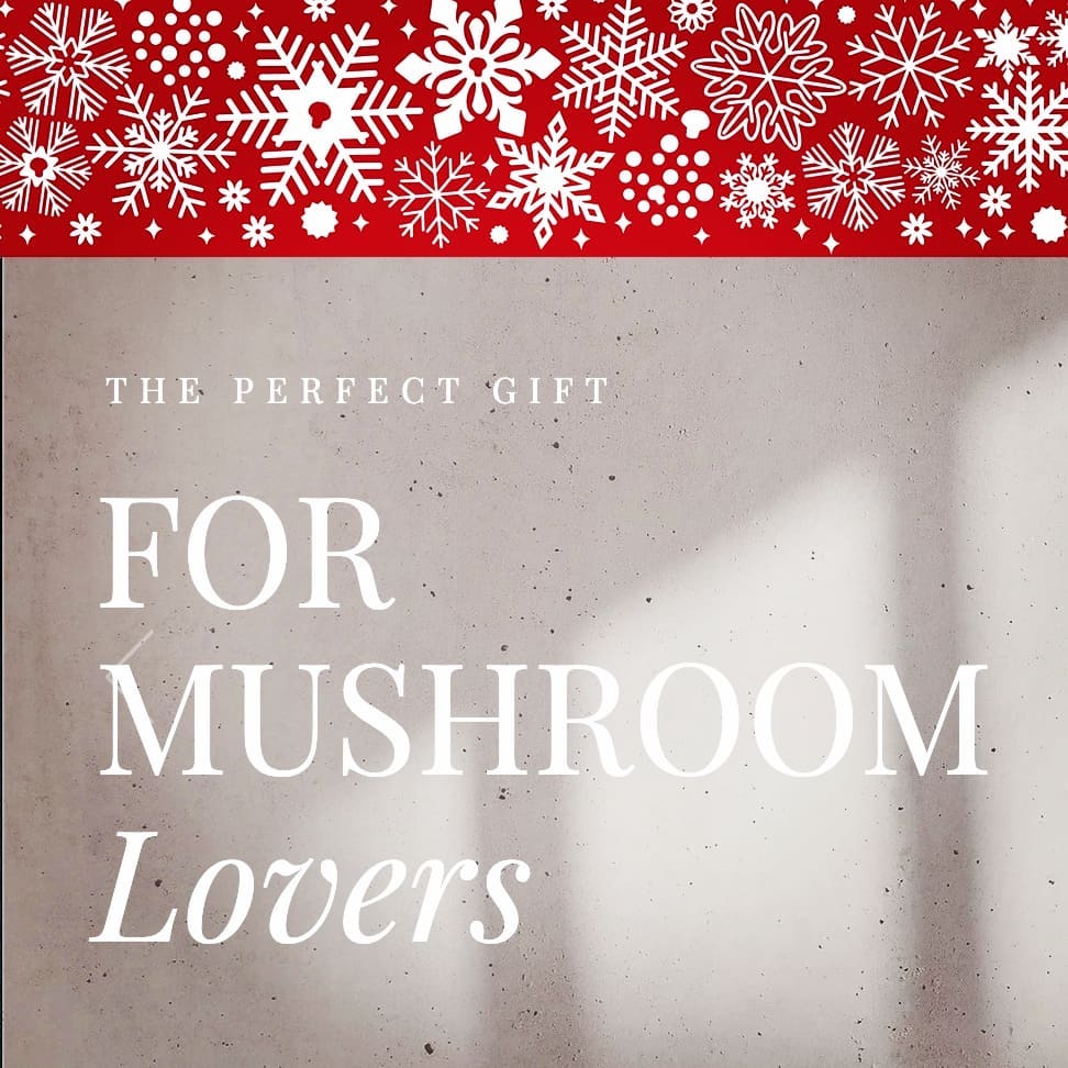 The perfect gift for mushroom lovers. Surprise them with a ready to fruit mushroom gift box. No previous experience necessary. Pink, yellow & blue oyster varieties available. Pre-order now for delivery mid December. (UK only)
#mushroomgrowbox #growyourfood #mushroomfarm #mushroomkit #mushroomgrowkit #mushroomlovers #mushroomhunting #mushrooms #mushlove #growlocal #grow #growyourownfood #mycology #vegan #oystermushrooms #fantasticfungi #recycle #suppportsmallbusiness #supportlocal #gift #present #farm