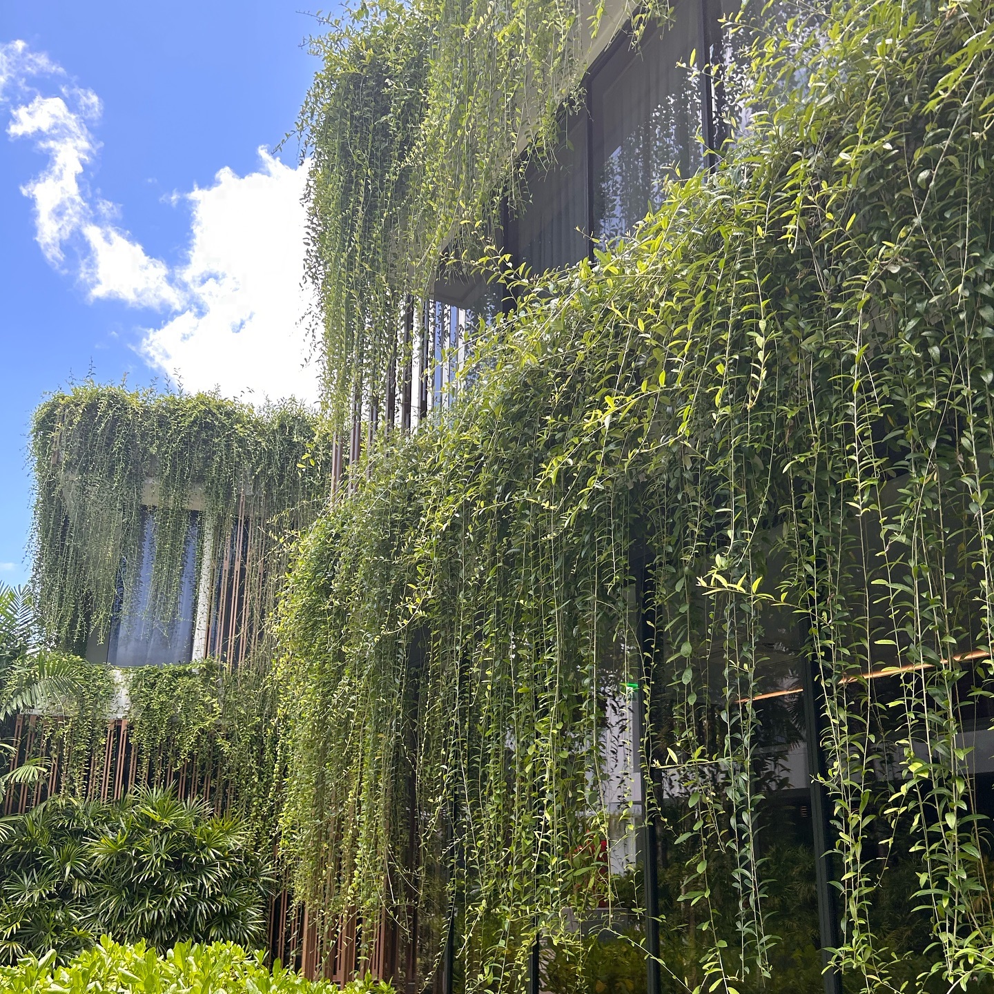 Spa kinda day 💛
.
.
.
.
.
.
.
#travel #discovernessara #explore #potd #asia #spa #heal #wellness #love #travel #archidaily