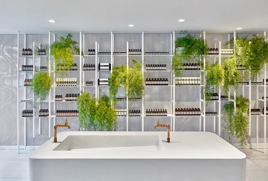Over 10 years ago, we had the opportunity to fabricate the custom concrete sinks and display fixtures for an Aesop location here in Toronto.
Projects like this always stay with us. The design called for clean architectural forms that could quietly support the experience of the space — sculptural concrete sinks and monolithic display islands that feel both functional and timeless.
Concrete has a unique ability to age gracefully, and seeing pieces like these continue to live within a space more than a decade later is a reminder of why we love working with this material.
It was an absolute pleasure to fabricate these elements and contribute to a space designed with such intention.
#concrete #customconcrete #interiordesign #torontodesign #architecturalconcrete
