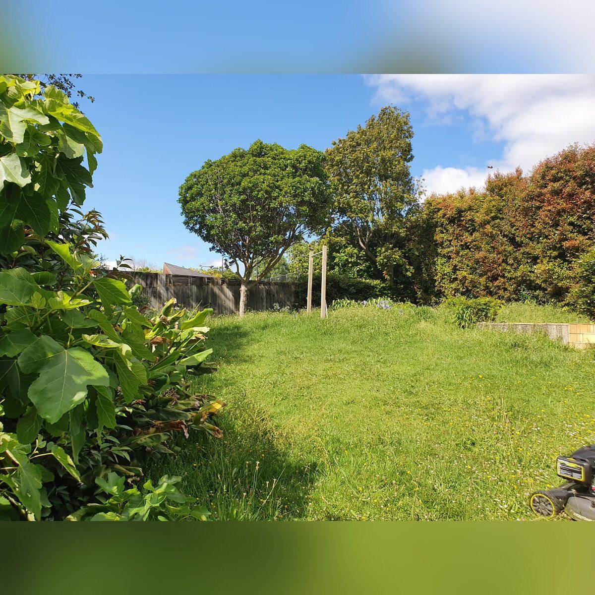 What a difference a mow and some trimming can make 😊