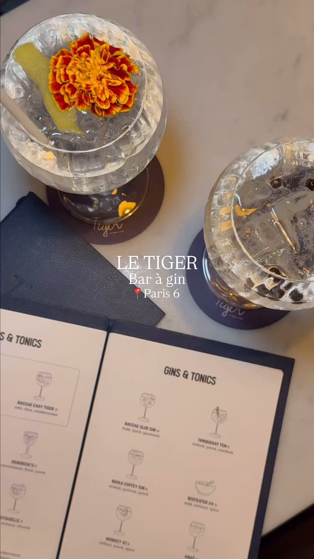 Tiger, premier bar à gin de Paris ✨