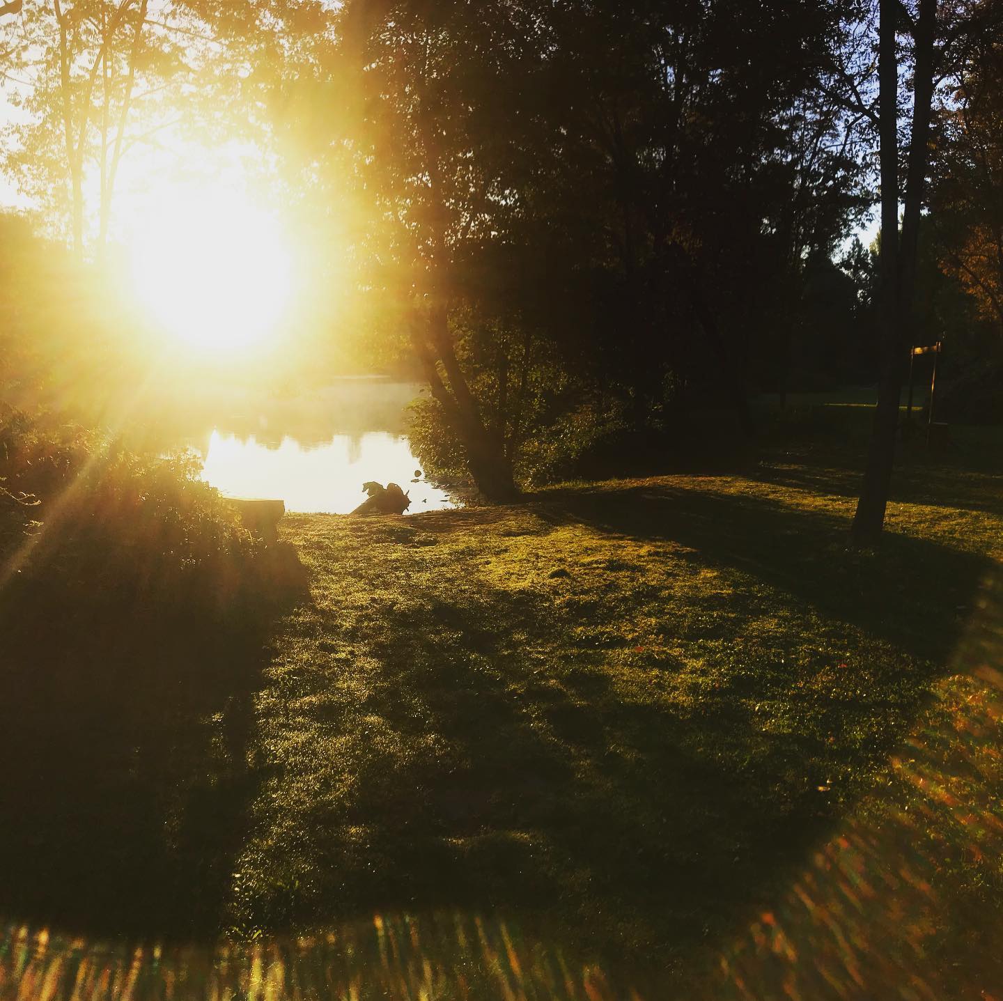 The new season always comes quick! An exciting and unknown 2021 awaits all of us, new memories and adventures are always around the next corner 🏕#openfortheseason #camplotus #southfork #lotus #thevalley