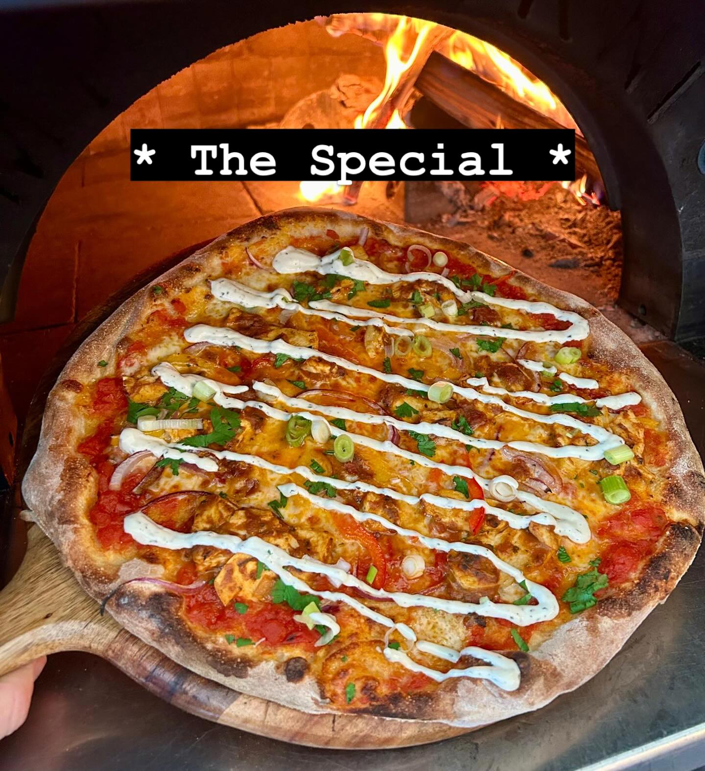 * The Special *
Chicken Tikka
Mixed peppers
Red onions
Spring onions
Coriander
Mint yoghurt
#chickentikka