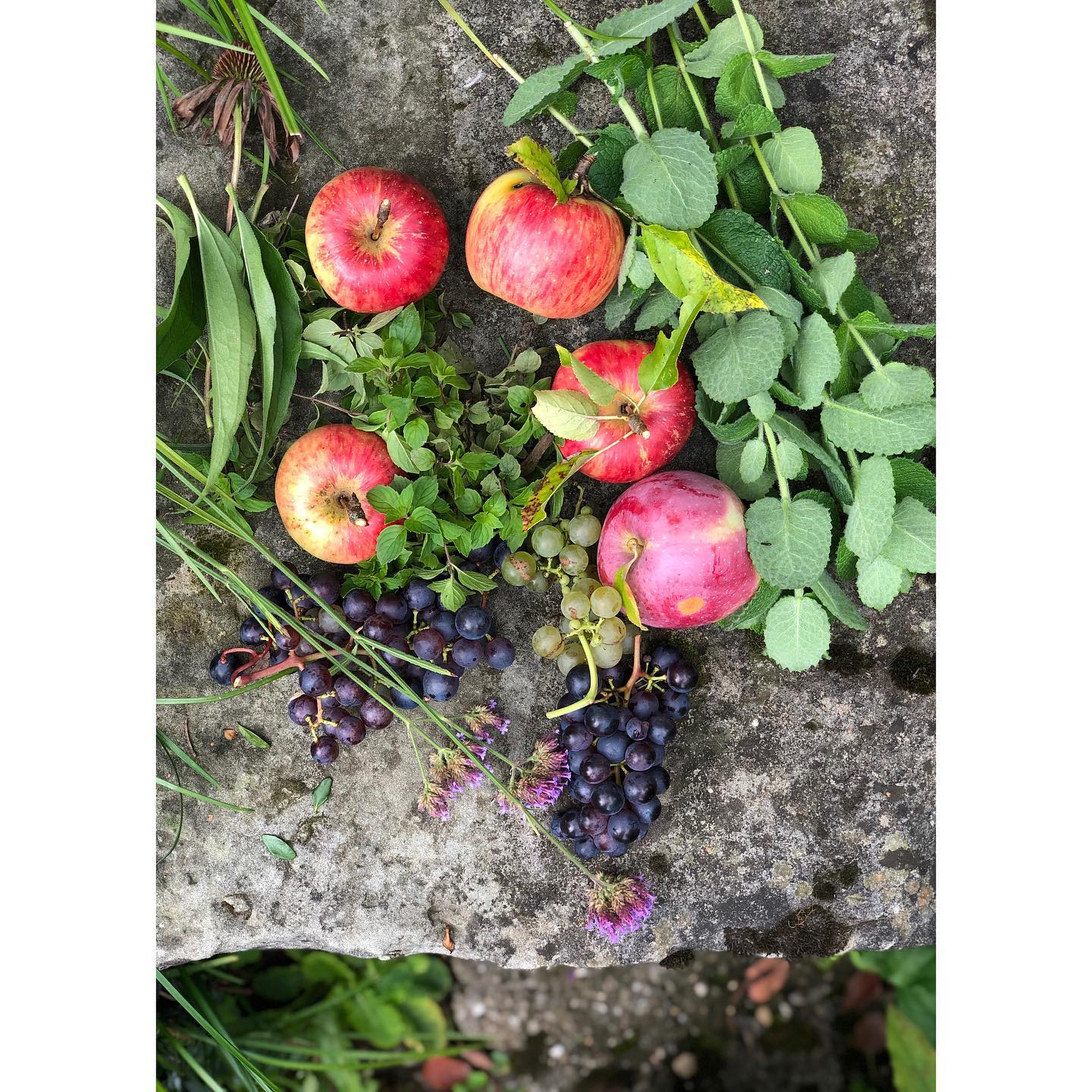 autumn…
.
.
.
#konfitüren #preserving #lowsugar #organic #seasonal #makingrealthings #coloursarebeautiful #manufaktur #primalacucina