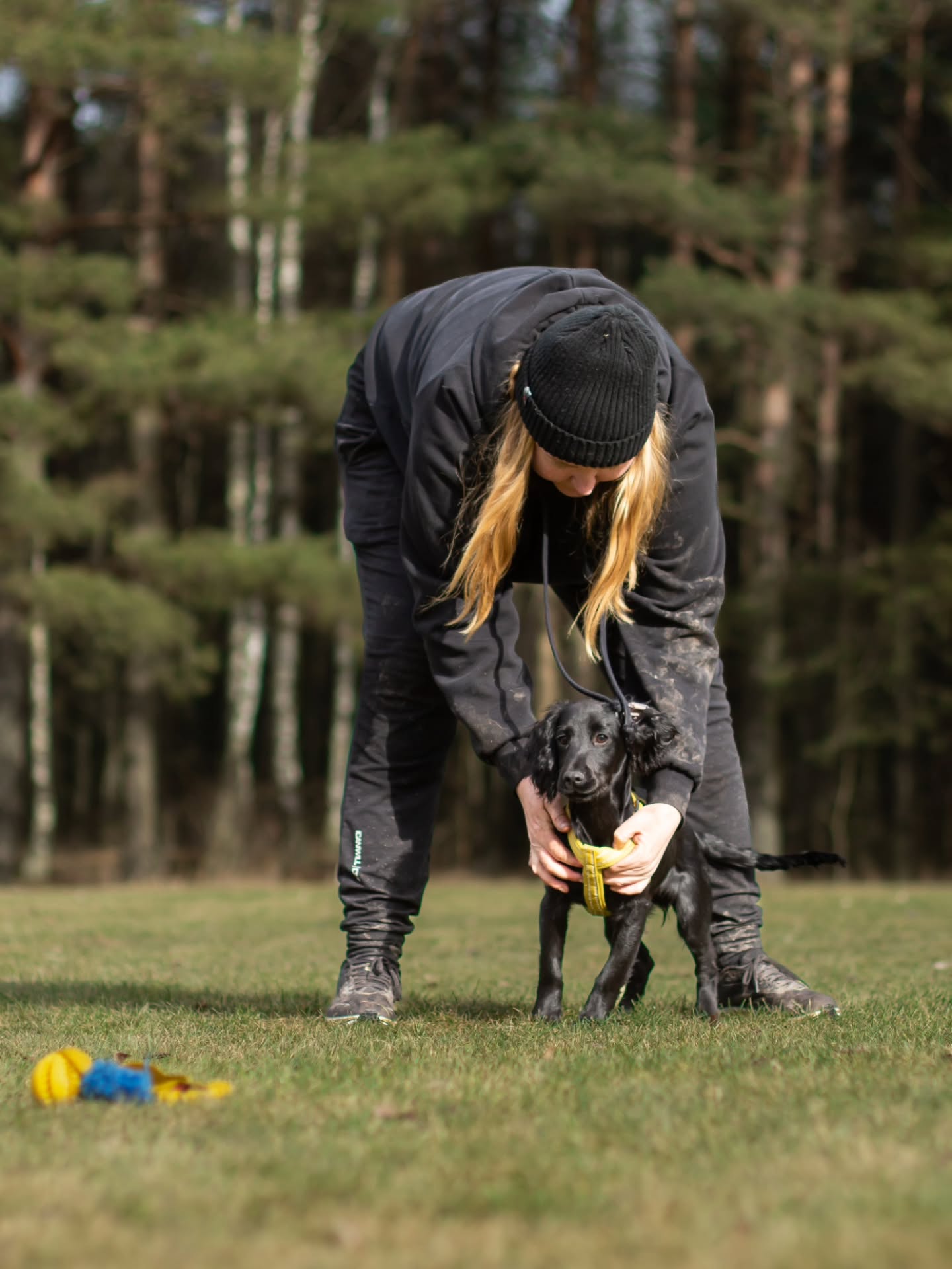 Toad has turned 5 months ❤️
Swipe to see Mr. Long-ears in action 🤣😍
Love this little boy so much! He's brought so much happiness and joy into my life! I can't believe I finally have my little spaniel 🫶
#workingcocker #cockerspaniel #workingcockerspaniel #wockerpuppy #wocker