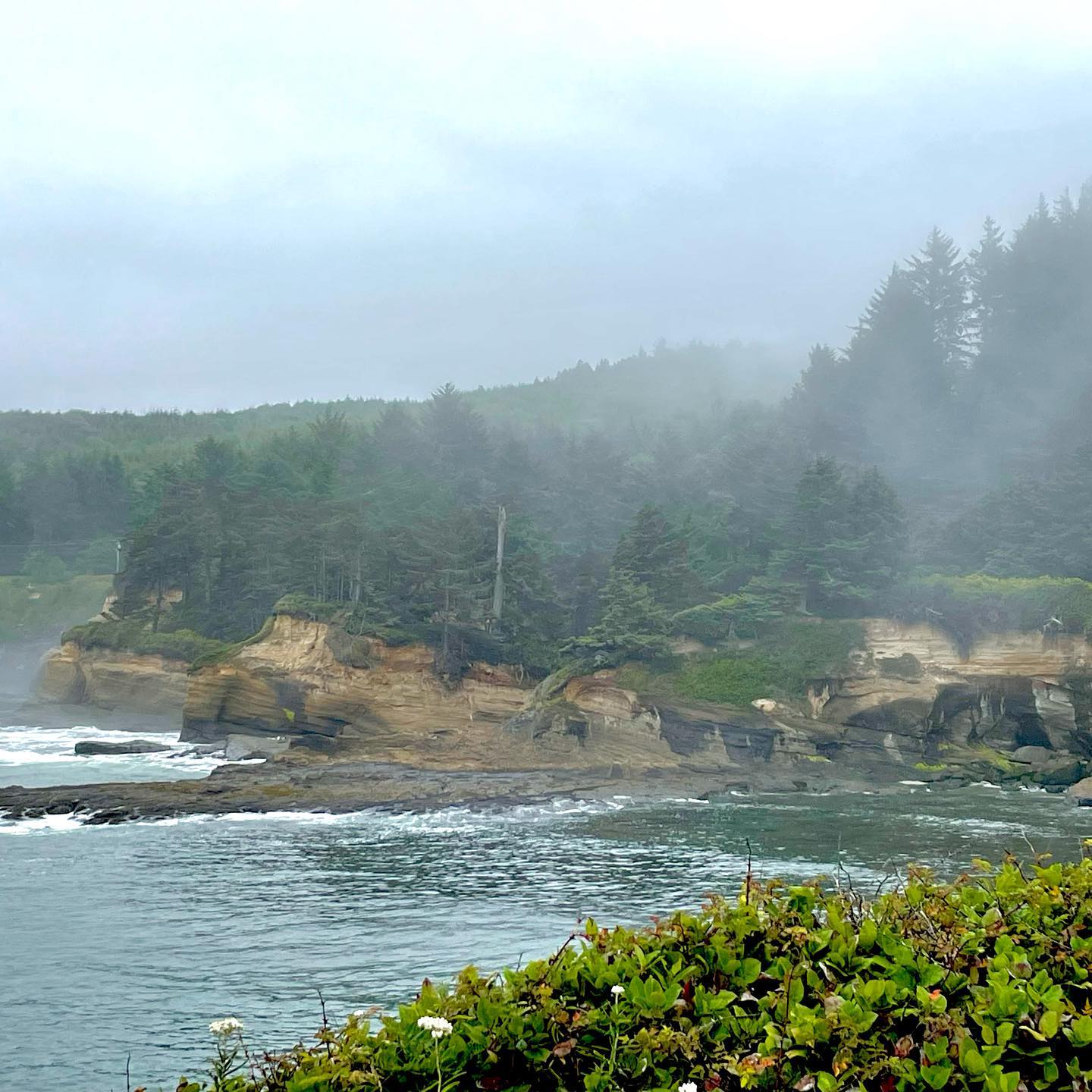 Along the #oregoncoast a string of cute towns line #highway101 and offer #whalewatching tours, #seaarches and #lighthouses along side #sealions, vistas and #foresthike trails on cliff edges.
@visitoregonofficial #roadtripusa #pacificnorthwest
