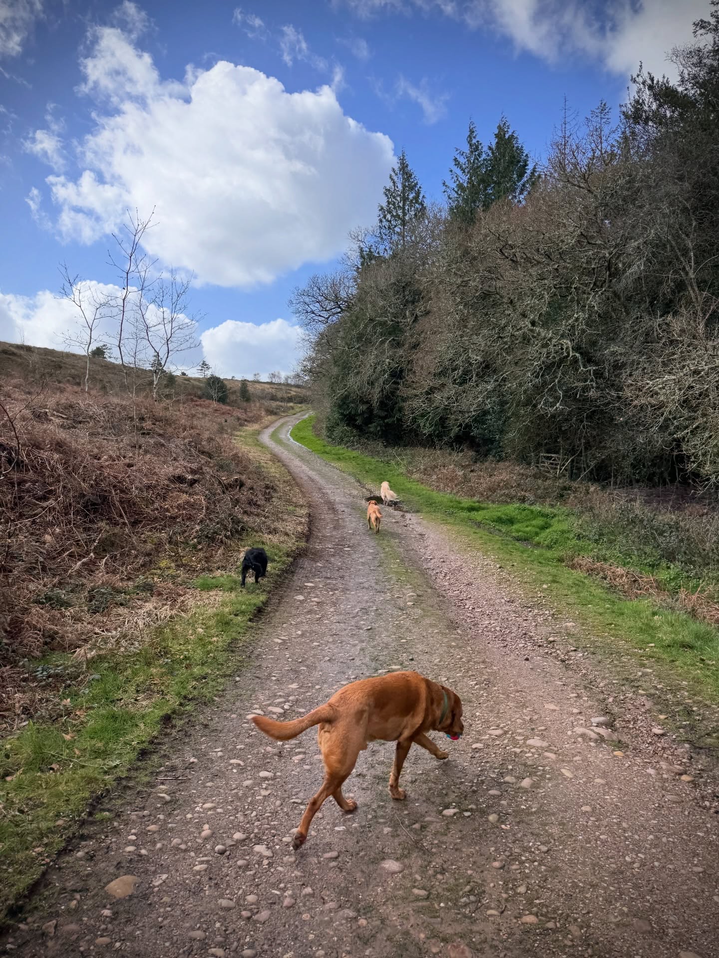 Blue sky, I repeat, blue sky!! ☀️