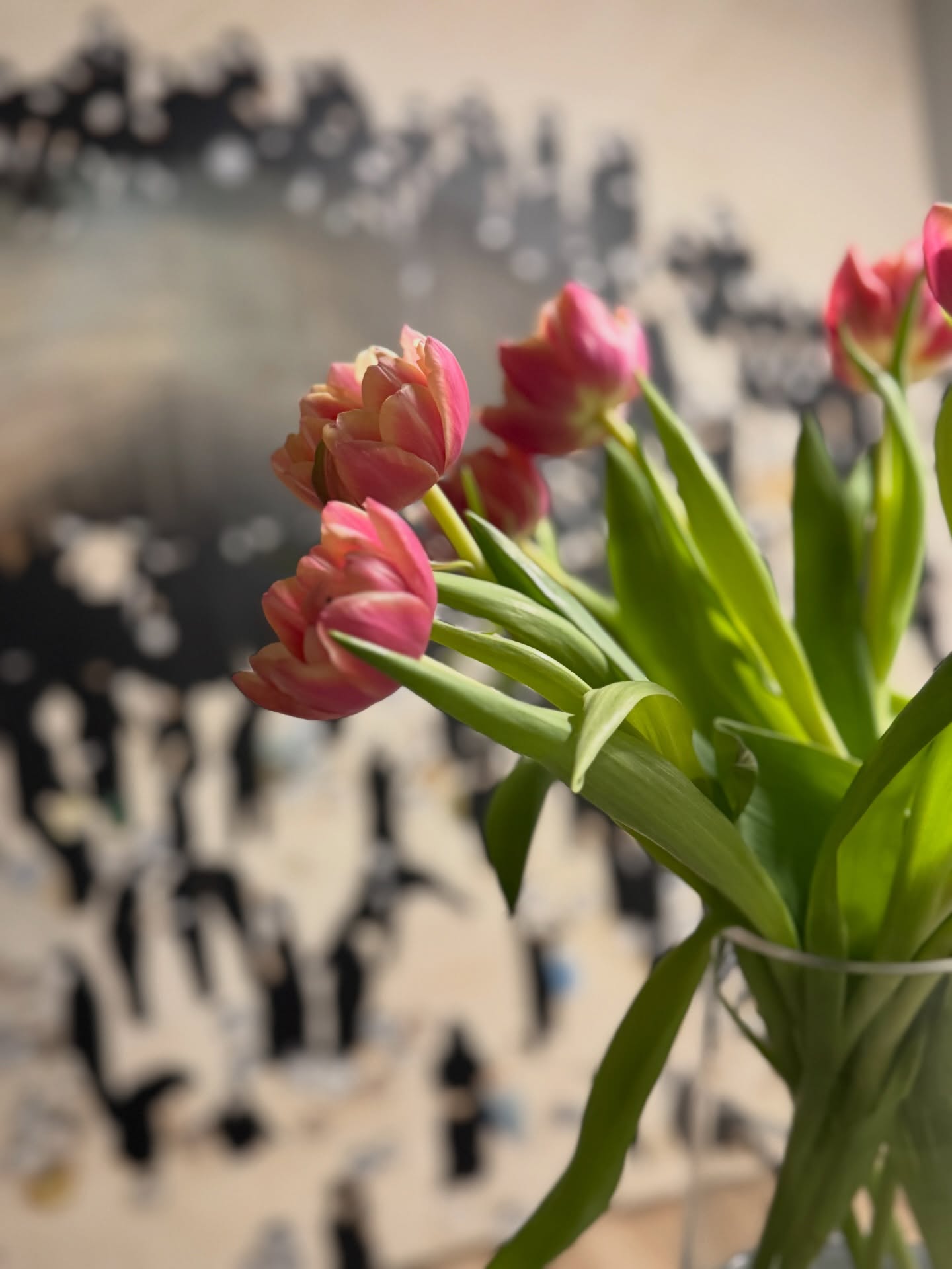 Der Frühling steht vor der Tür und wir waren fleißig im Garten und haben rund um das Hotel alles vorbereitet. Der Garten erwacht zum Leben und wir sind bestens gerüstet für die bevorstehenden sonnigen Tage. Wir freuen uns darauf, unsere Gäste bald wieder auf unserer schönen Terrasse begrüßen zu dürfen.
@HotelAlteMühleBadBertrich
📞 +49 2674 1880
🌐 hotel-altemuehle.de
📍 Bäderstraße 46 – 56864 Bad Bertrich
✉️ info@hotel-altemuehle.de
#visiteifel #visitmosel #visit_germany
#boutiquehotel #weekendescape