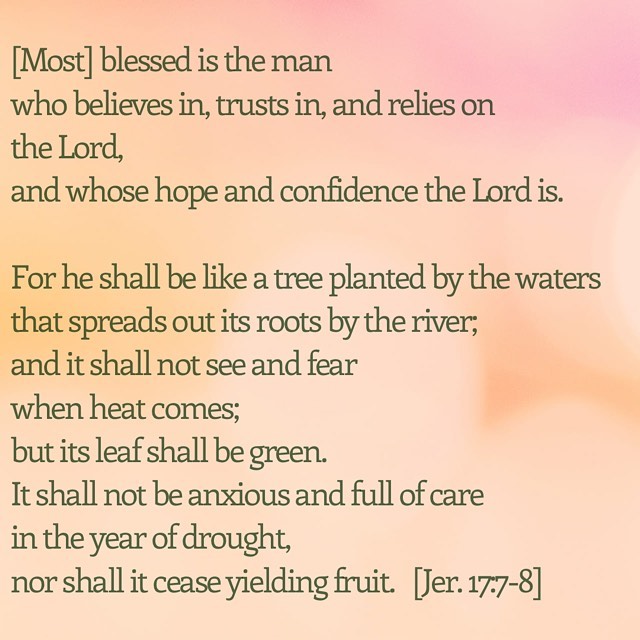 🌳 Our roots are deep! 🌳
.
#rootedandgroundedinlove #Diosesfiel #Godisgood #Diosesbueno