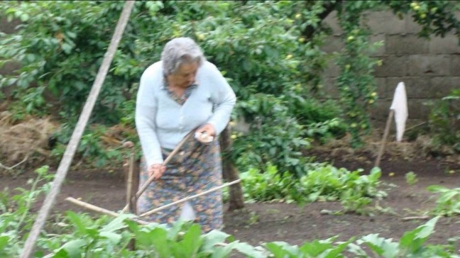 El Día de la Mujer es importante para mí.
( foto en la huerta es mi abuela Alfonsa )
El ejemplo de mi vida fueron mis abuelas: esas mujeres completas que eran amas de casa, de las que cocinan, cosen, tejen y educan; de las que mataban el pollo para la cena, pero que también lograron su independencia económica. Una fue enfermera y la otra comerciante, con su propia tienda de ropa. Ambas votaron hasta sus últimos días; ellas sí sabían lo que significaba ese derecho.
Mamá. Una mujer más del escritorio que ama de casa (aunque cocine como los dioses). Con ella aprendimos en la sobremesa que las mujeres opinan, que la plancha no es un “elemento femenino” y, otra vez más con hechos que con palabras, nos mostró que el trabajo trae dignidad y, sobre todo, libertad.
Gracias a esas mujeres y a muchas otras que nos abrieron el camino: ¡es por acá! Sigo pensando que hay cosas inherentes a la mujer y al hombre; quizás no tenemos la misma fuerza física o nuestra voz suena más baja.
Pero celebro nuestras diferencias y, mucho más, nuestras igualdades.
¡Feliz día a nosotras y gracias a los hombres que nos acompañan! 🥂
Feliz día especialmente a las mujeres que hacemos DeRaíz, que somos muchas 💫 El Día de la Mujer es importante para mí.
( foto en la huerta es mi abuela Alfonsa )
El ejemplo de mi vida fueron mis abuelas: esas mujeres completas que eran amas de casa, de las que cocinan, cosen, tejen y educan; de las que mataban el pollo para la cena, pero que también lograron su independencia económica. Una fue enfermera y la otra comerciante, con su propia tienda de ropa. Ambas votaron hasta sus últimos días; ellas sí sabían lo que significaba ese derecho.
Mamá. Una mujer más del escritorio que ama de casa (aunque cocine como los dioses). Con ella aprendimos en la sobremesa que las mujeres opinan, que la plancha no es un “elemento femenino” y, otra vez más con hechos que con palabras, nos mostró que el trabajo trae dignidad y, sobre todo, libertad.
Gracias a esas mujeres y a muchas otras que nos abrieron el camino: ¡es por acá! Sigo pensando que hay cosas inherentes a la mujer y al hombre; quizás no tenemos la misma fuerza física o nuestra voz suena más baja.
Pero celebro nuestras diferencias y, mucho más, nuestras igualdades.
¡Feliz día a nosotras y gracias a los hombres que nos acompañan! 🥂
Feliz día especialmente a las mujeres que hacemos DeRaíz, que somos muchas 💫